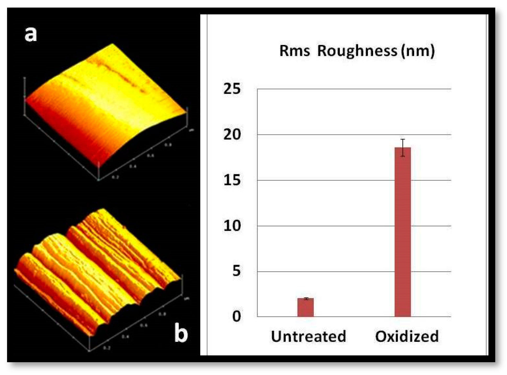 Molecules 25 01295 g002
