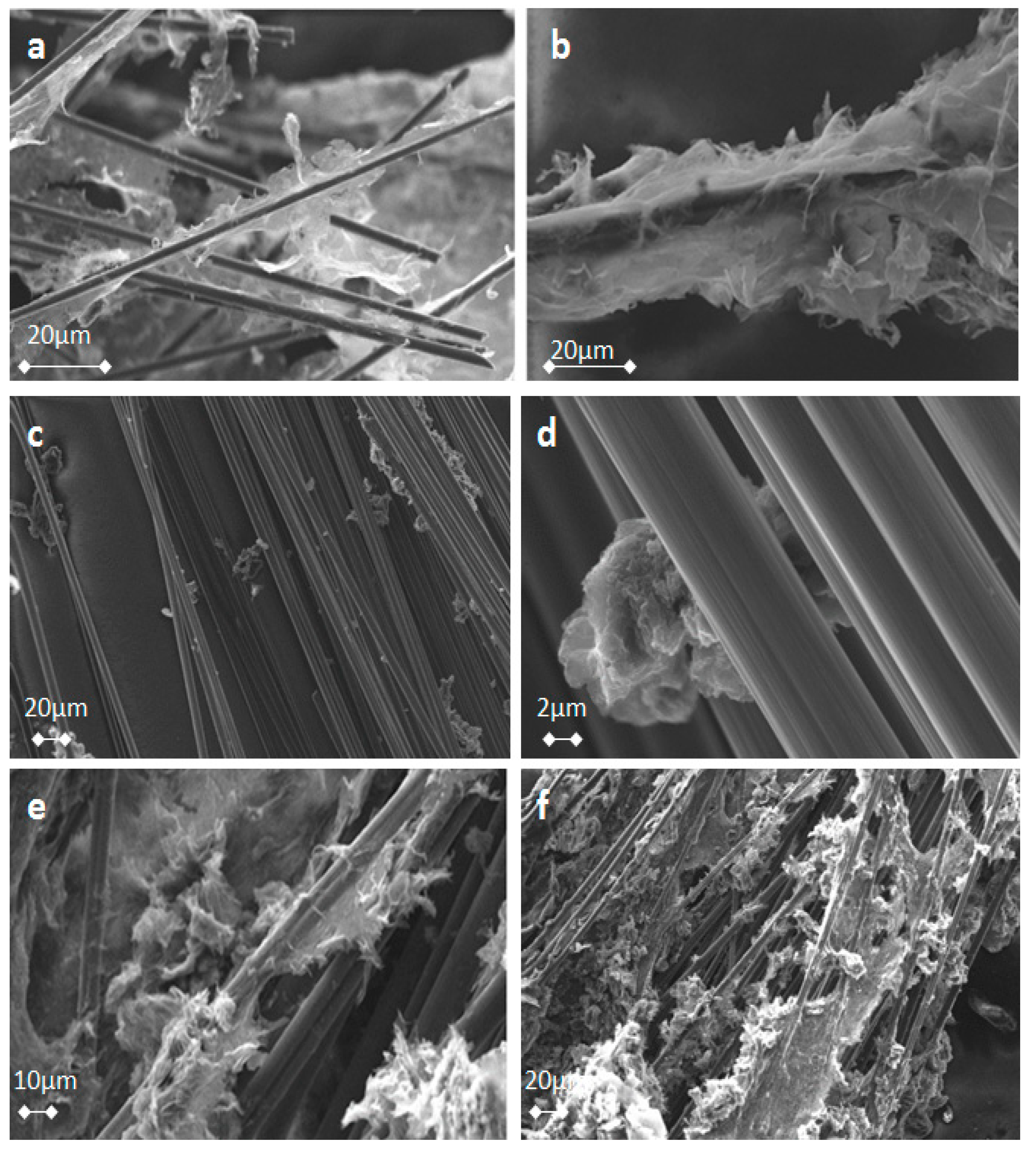 Molecules 25 01295 g009