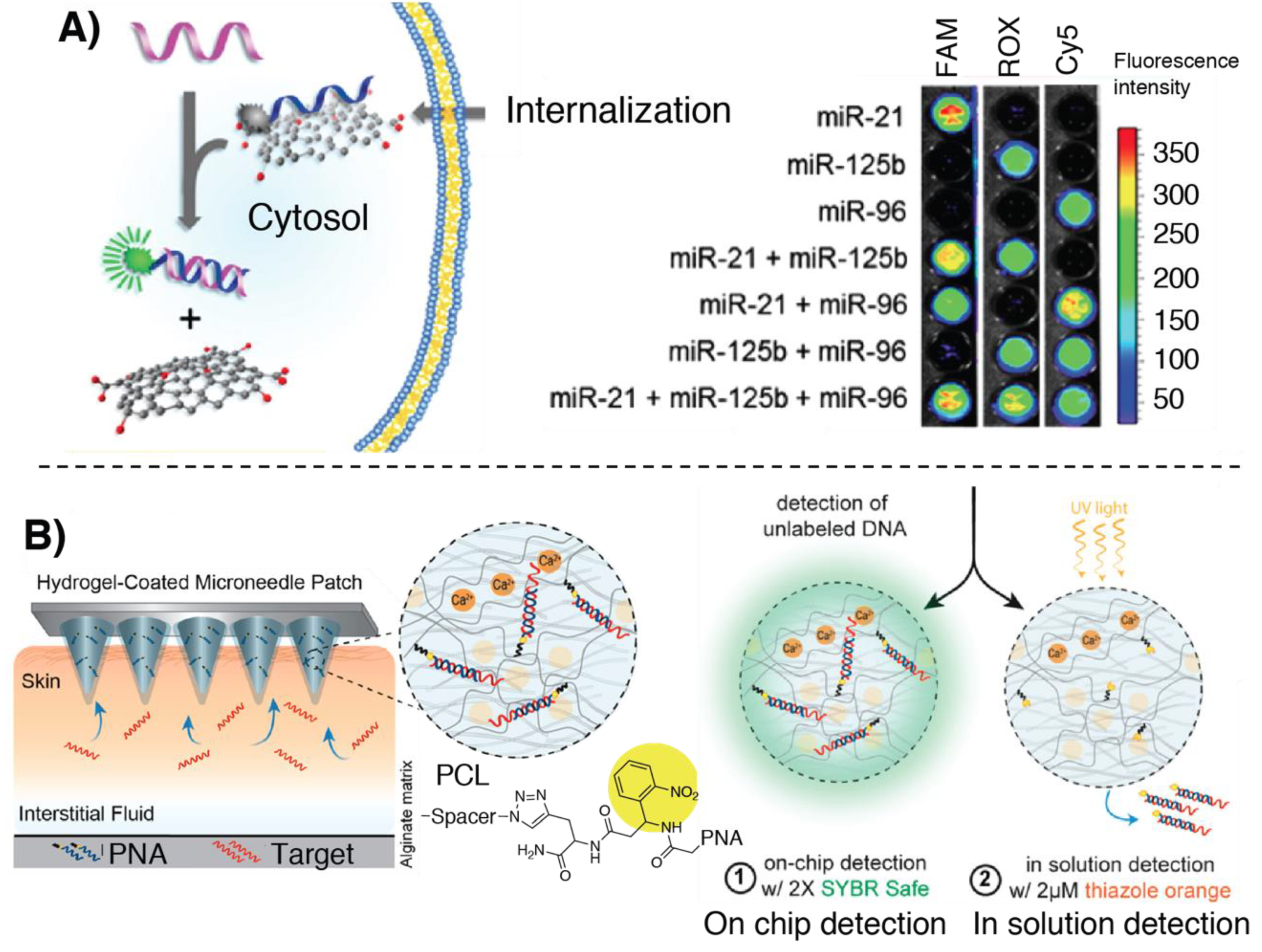 Molecules 25 01296 g005