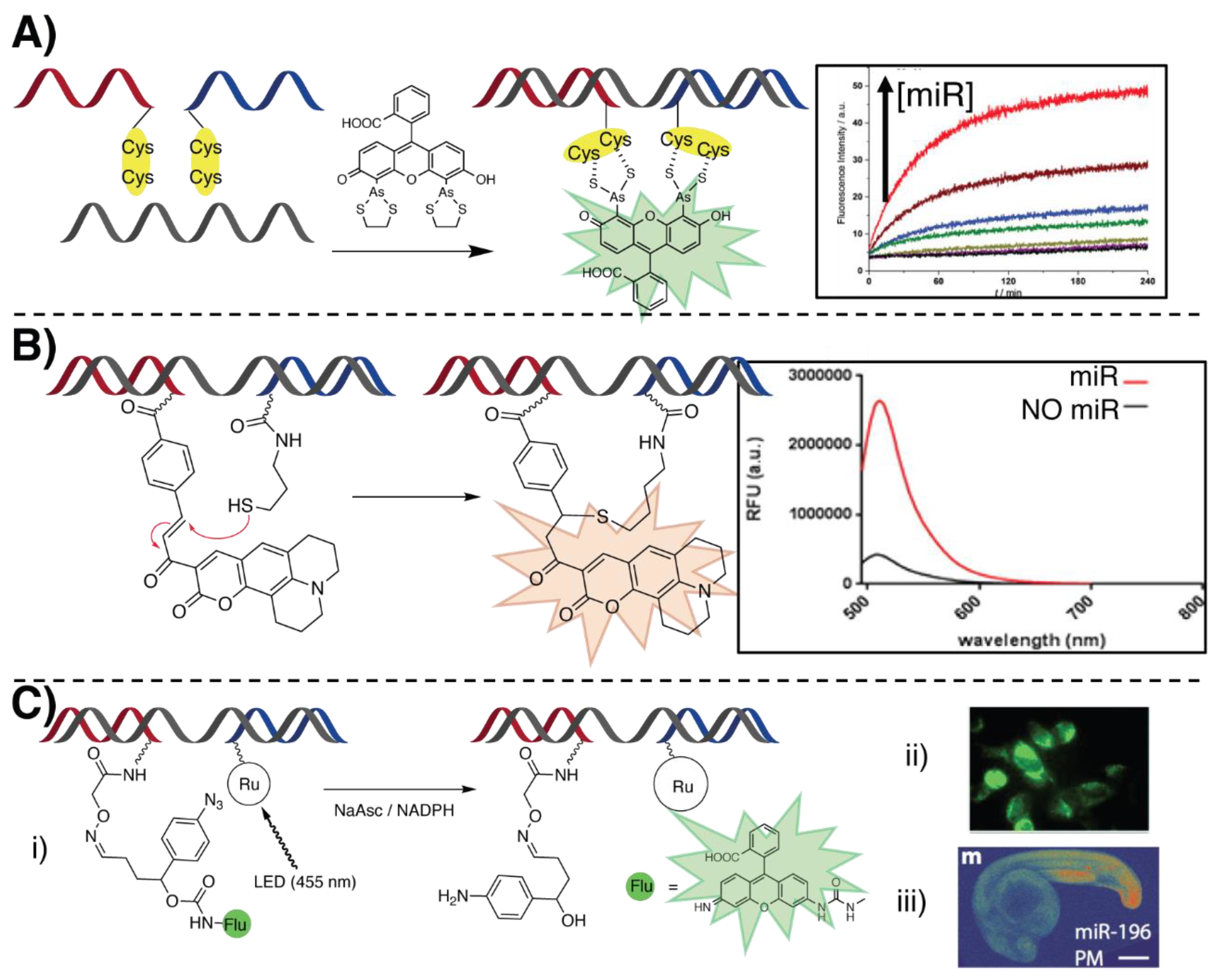 Molecules 25 01296 g006