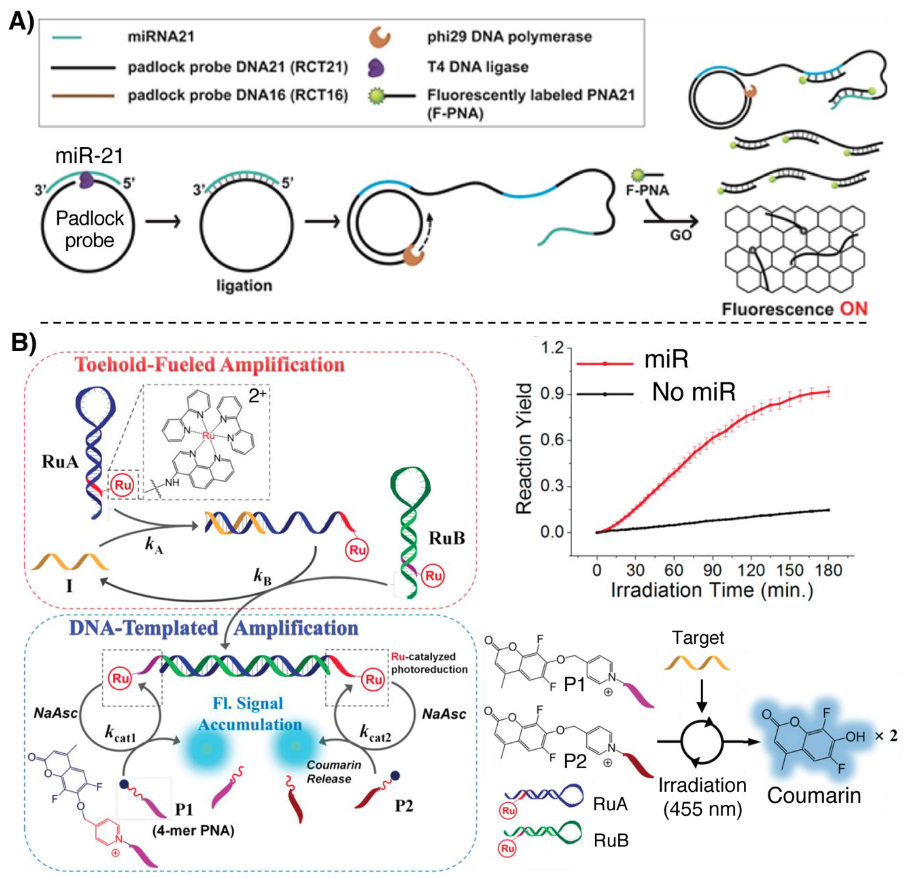 Molecules 25 01296 g007