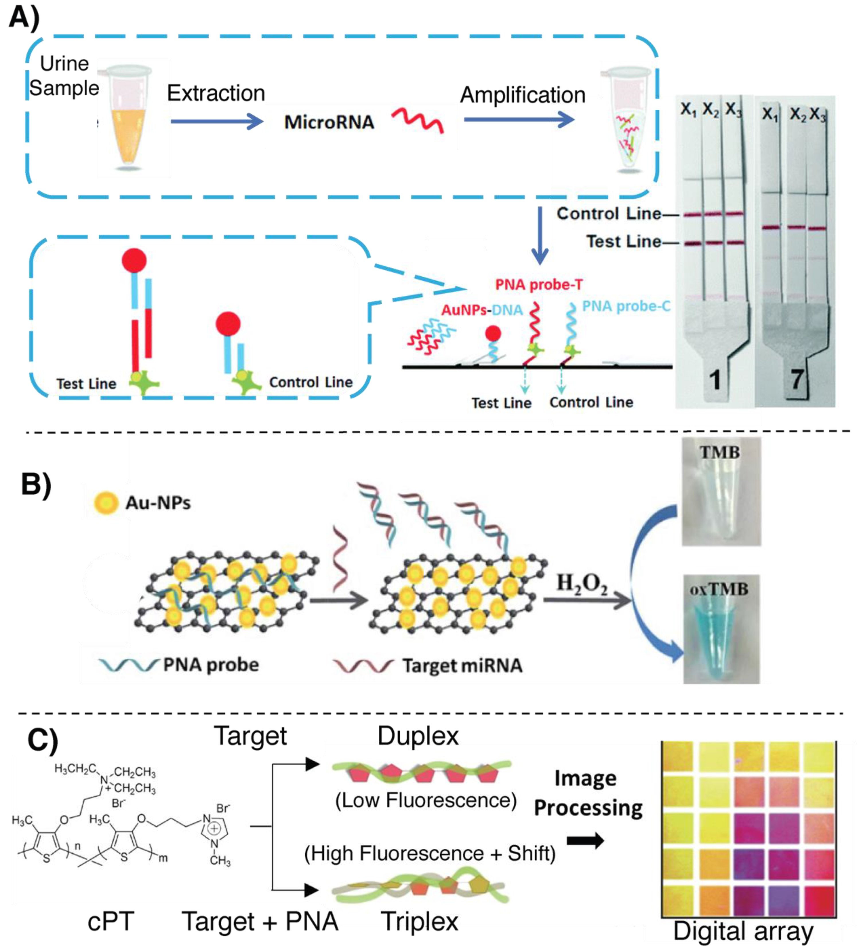 Molecules 25 01296 g008
