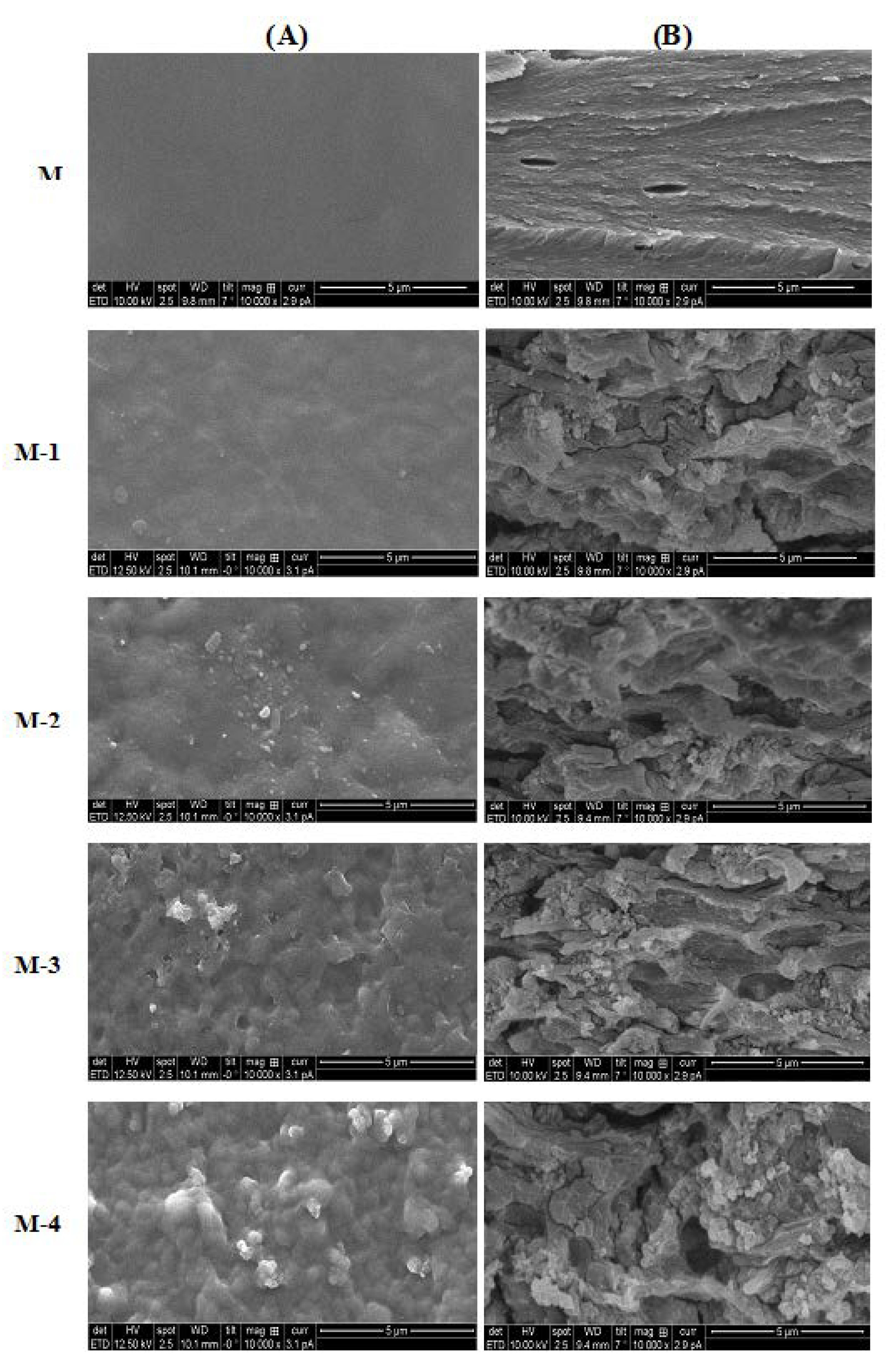 Molecules 25 01298 g004 Molecules 25 01298 g004