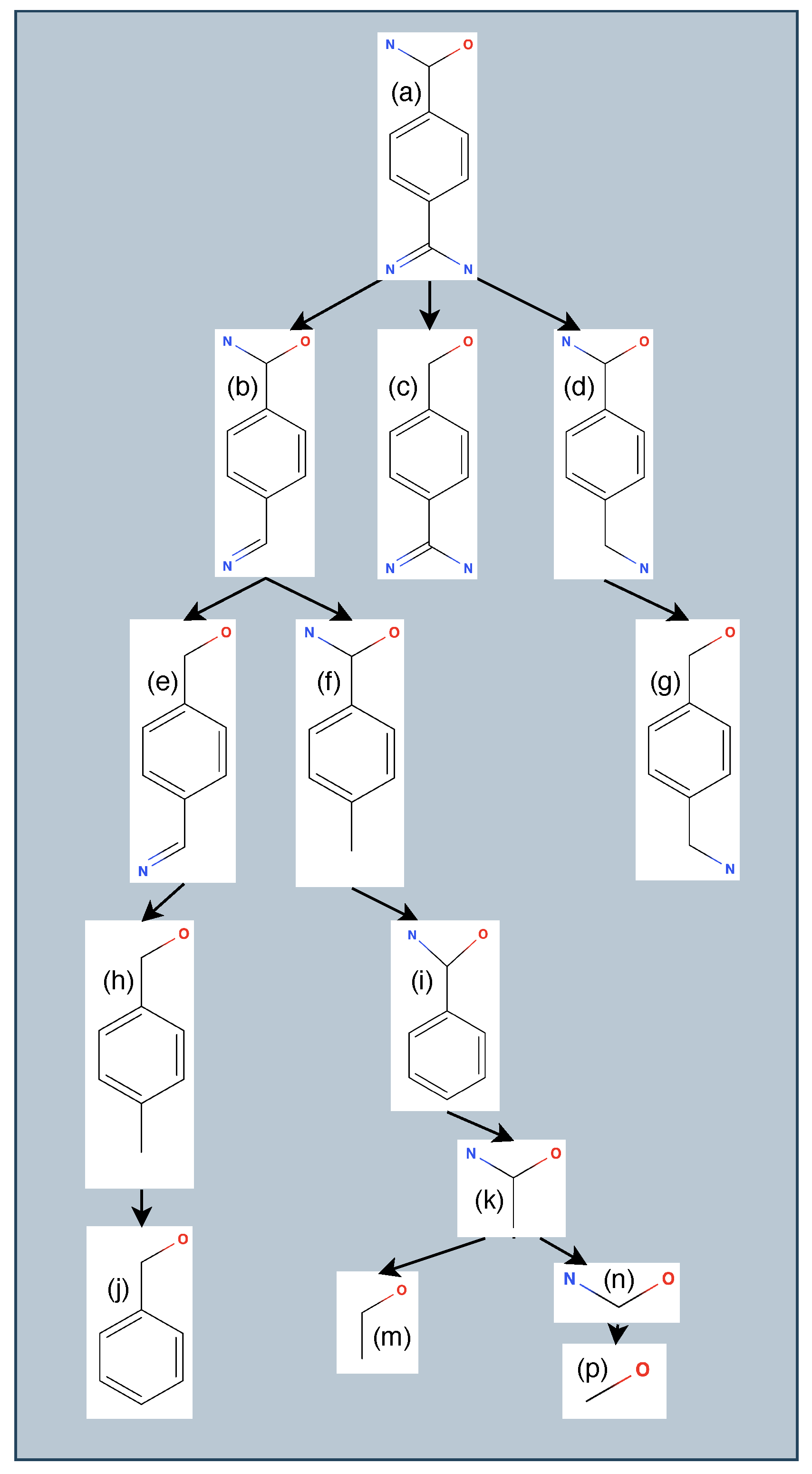 Molecules 25 01304 g003 Molecules 25 01304 g003