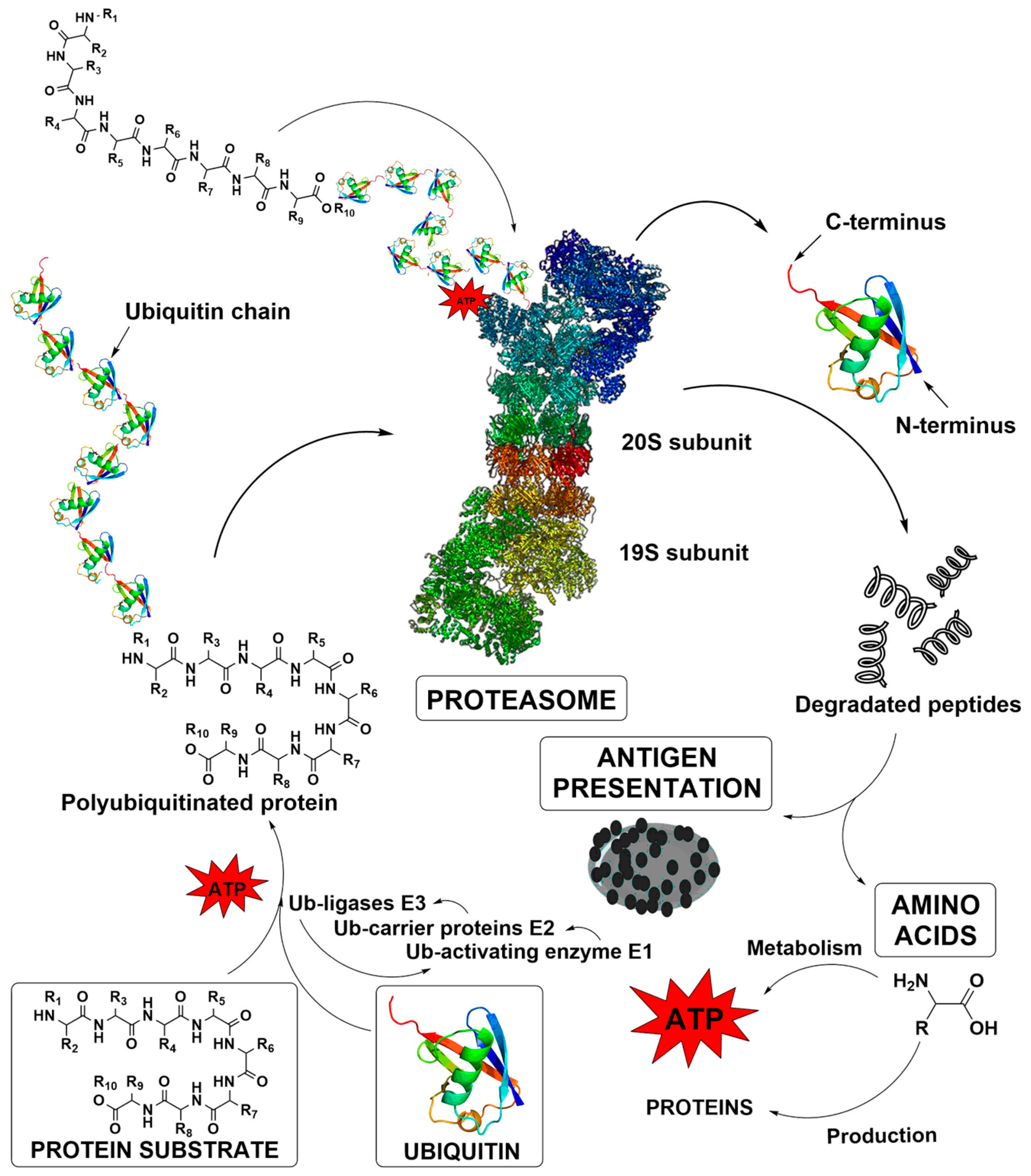 Molecules 25 01305 g001 Molecules 25 01305 g001