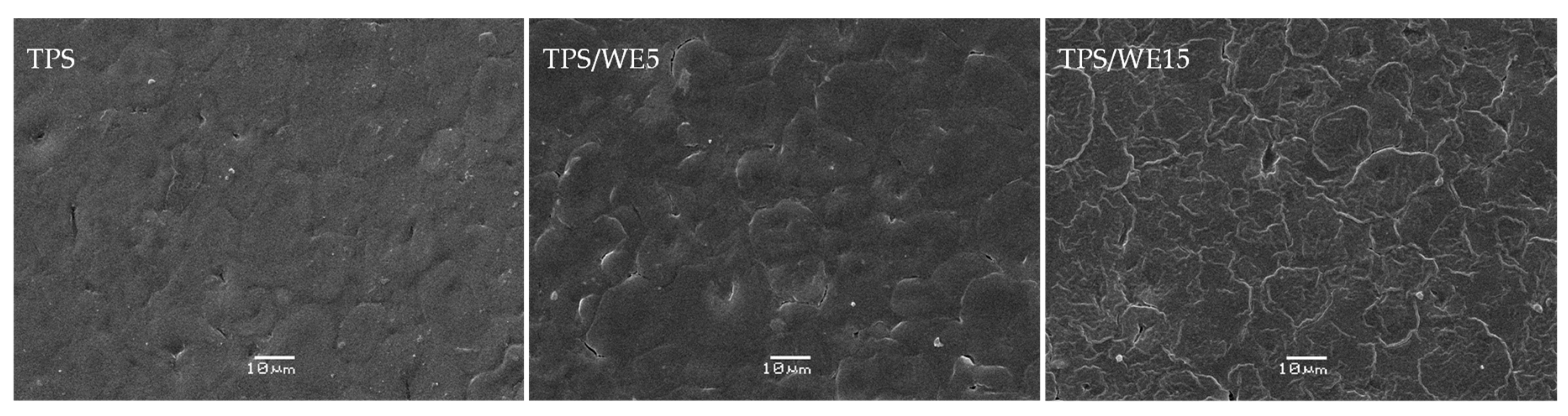 Molecules 25 01306 g002 Molecules 25 01306 g002