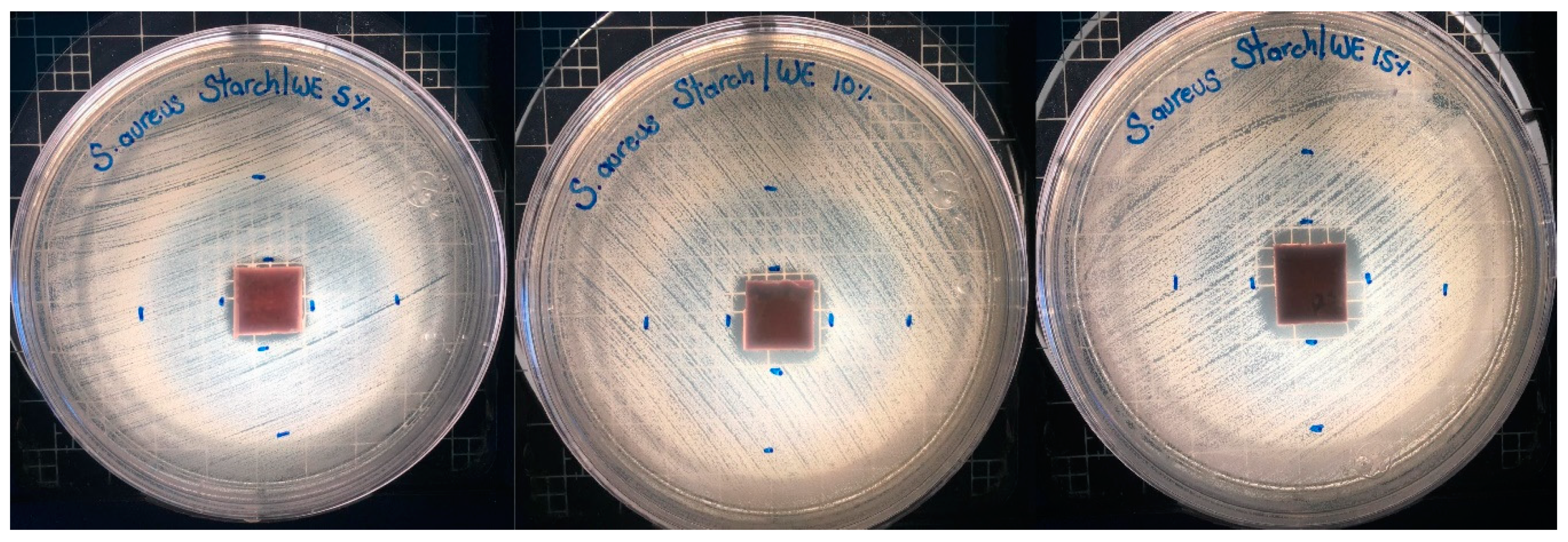 Molecules 25 01306 g007 Molecules 25 01306 g007