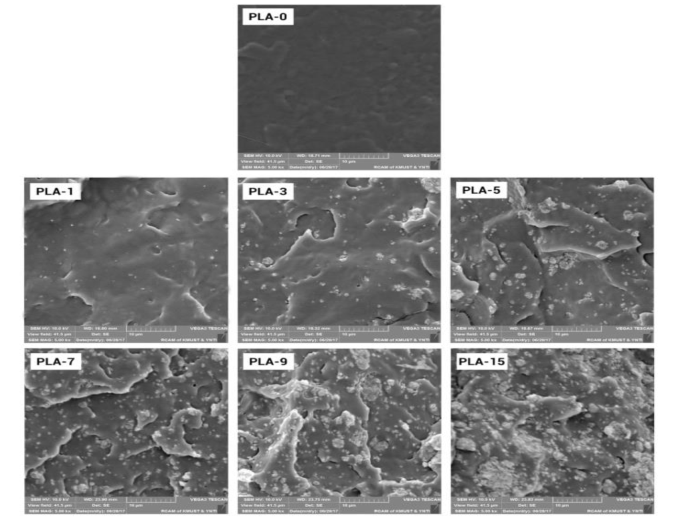 Molecules 25 01310 g005