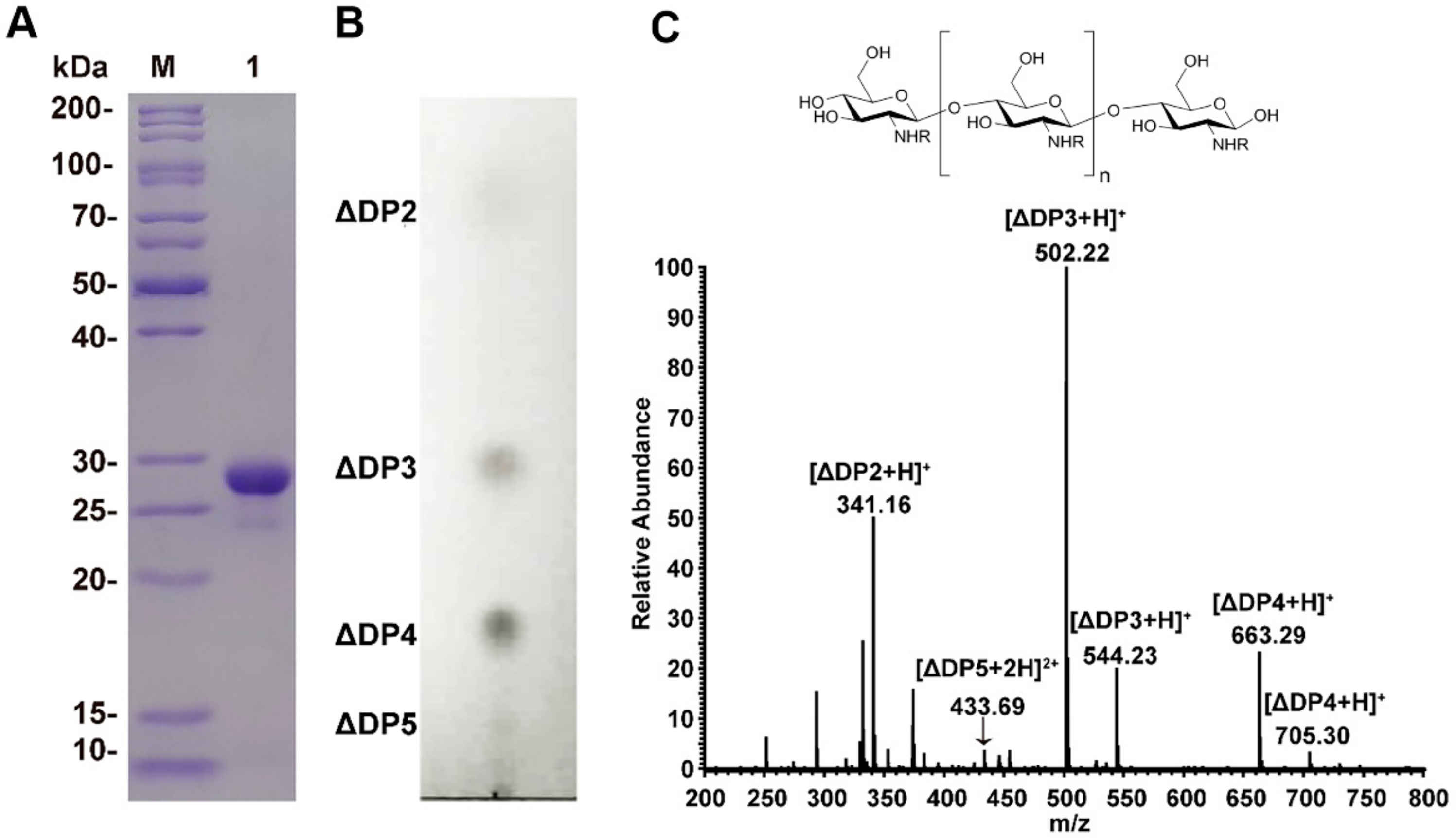 Molecules 25 01314 g001 Molecules 25 01314 g001