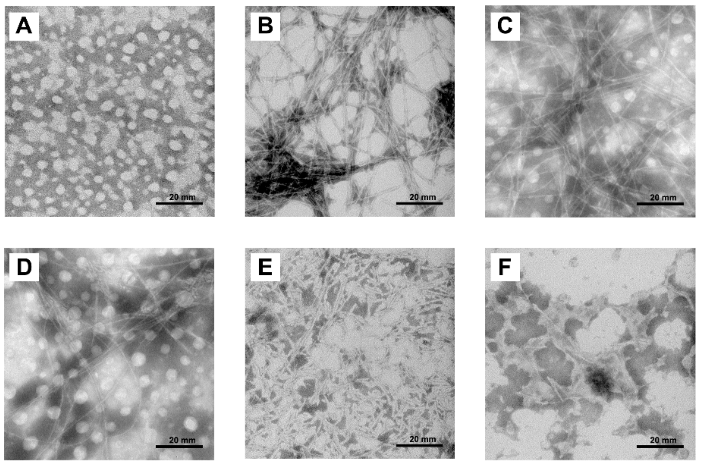 Molecules 25 01314 g004 Molecules 25 01314 g004