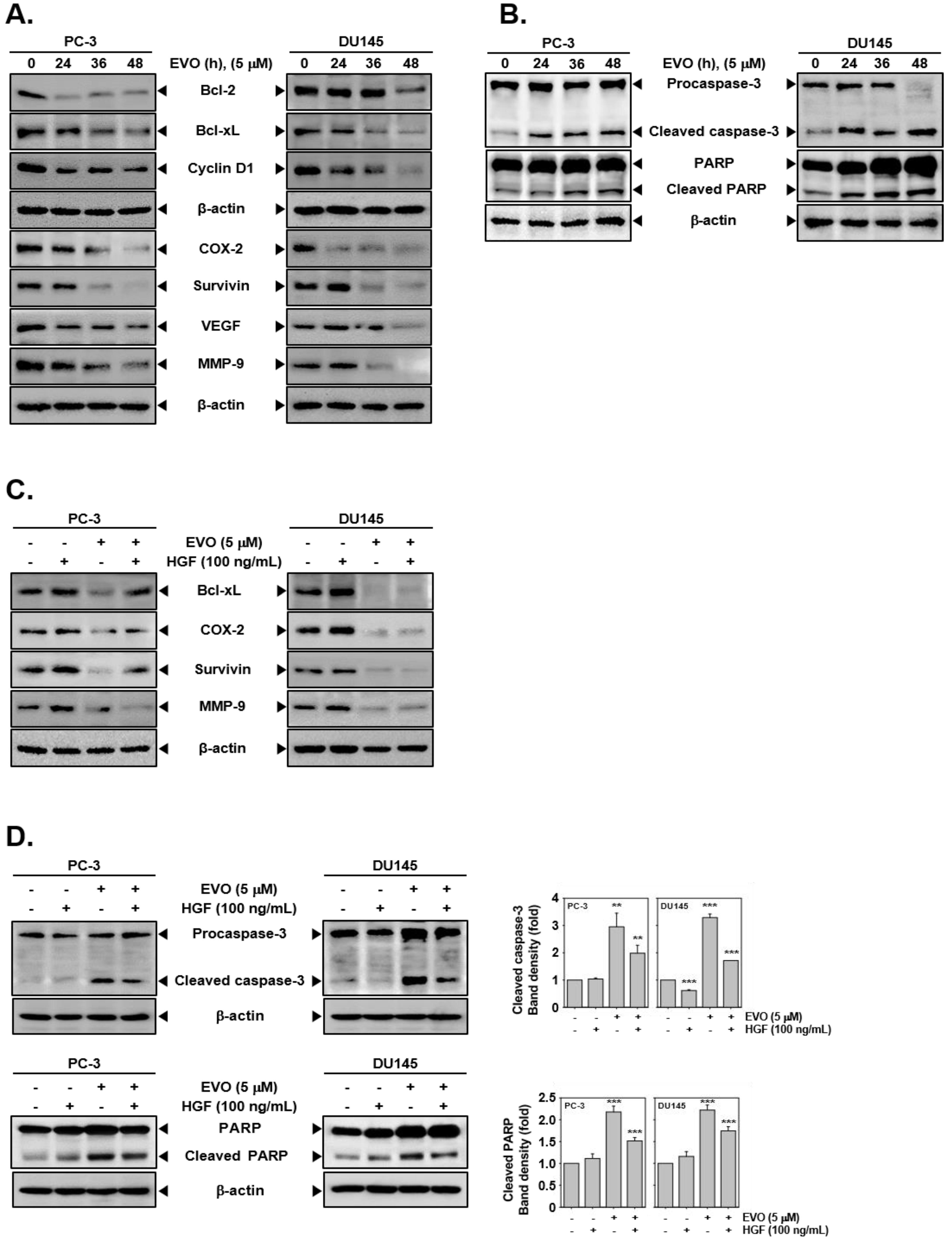 Molecules 25 01320 g003