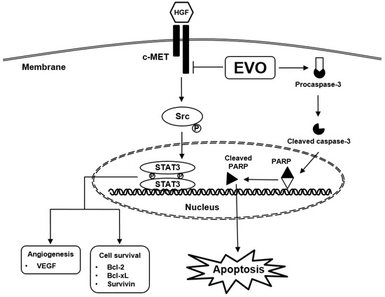 PDF) Characterization of Nuclear Decontamination Solutions