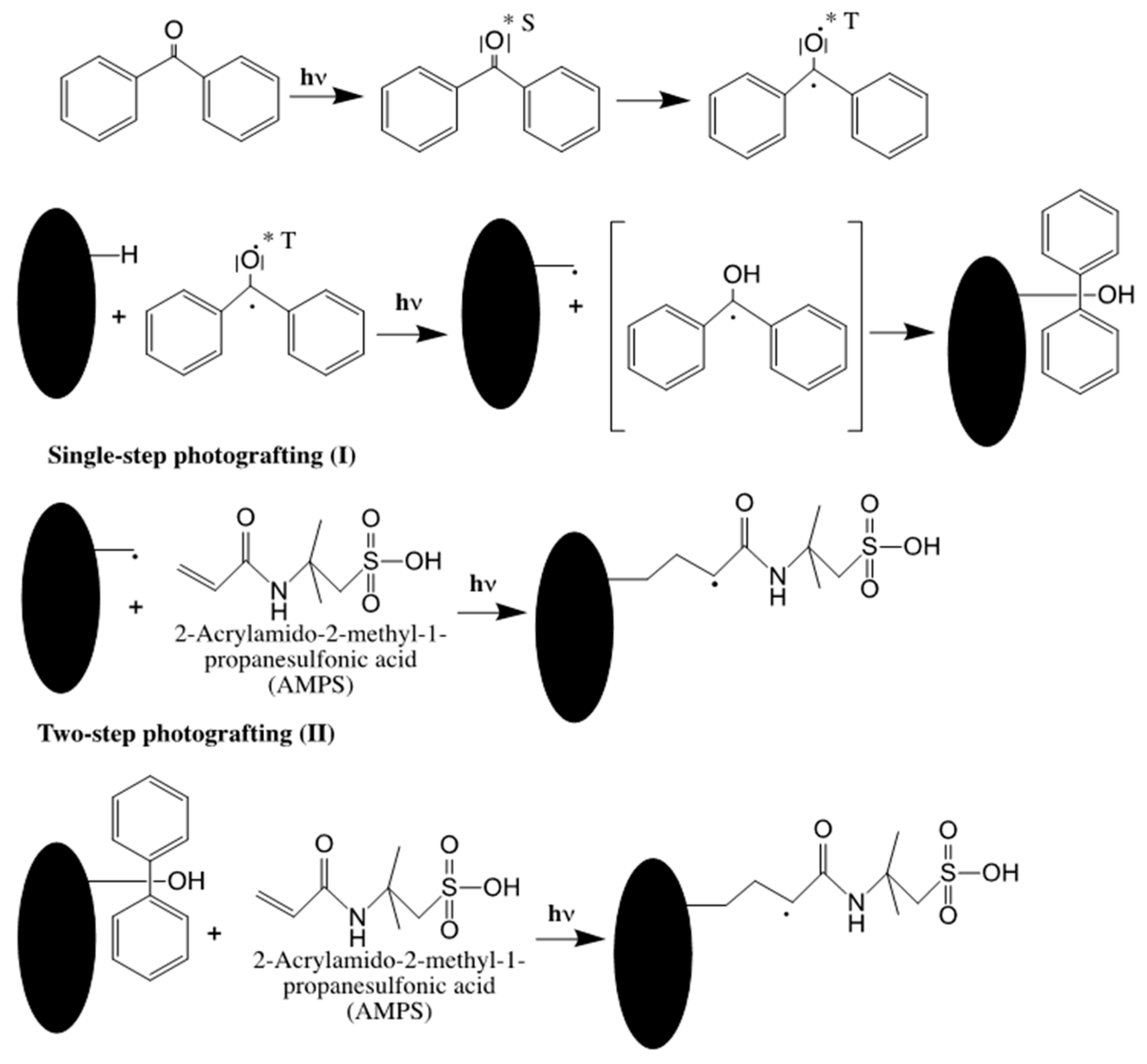 Molecules 25 01323 sch003
