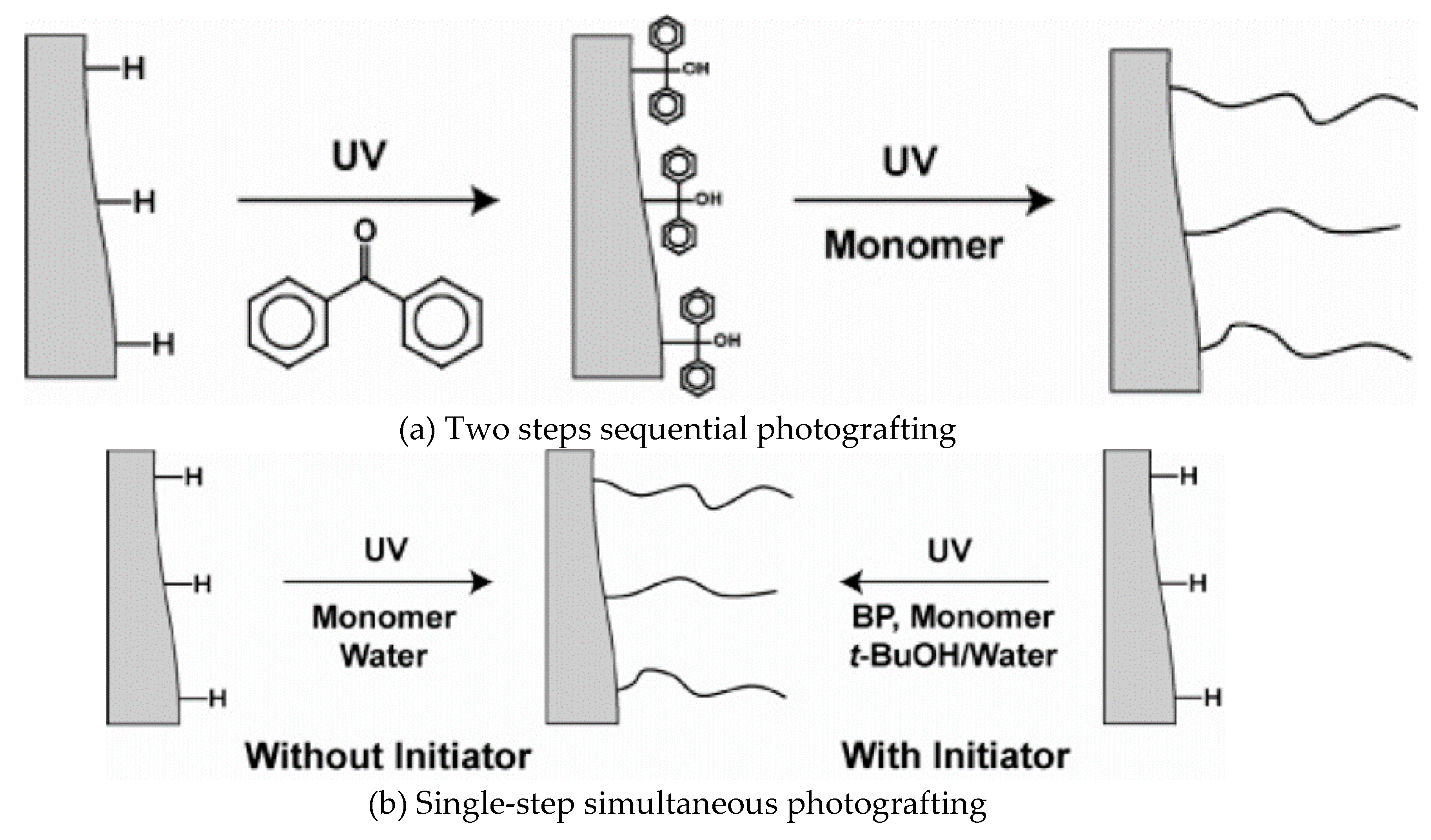 Molecules 25 01323 sch004