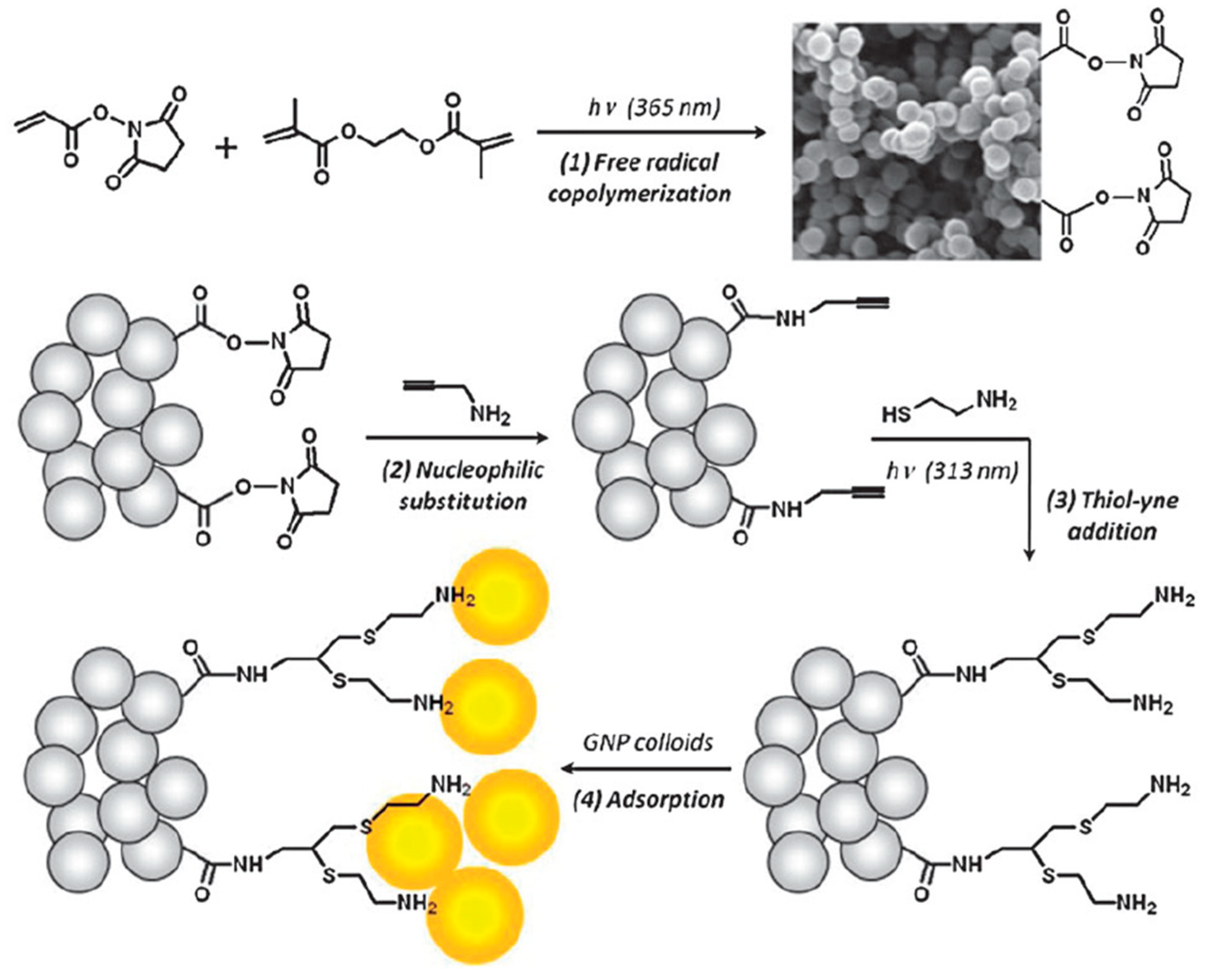 Molecules 25 01323 sch018