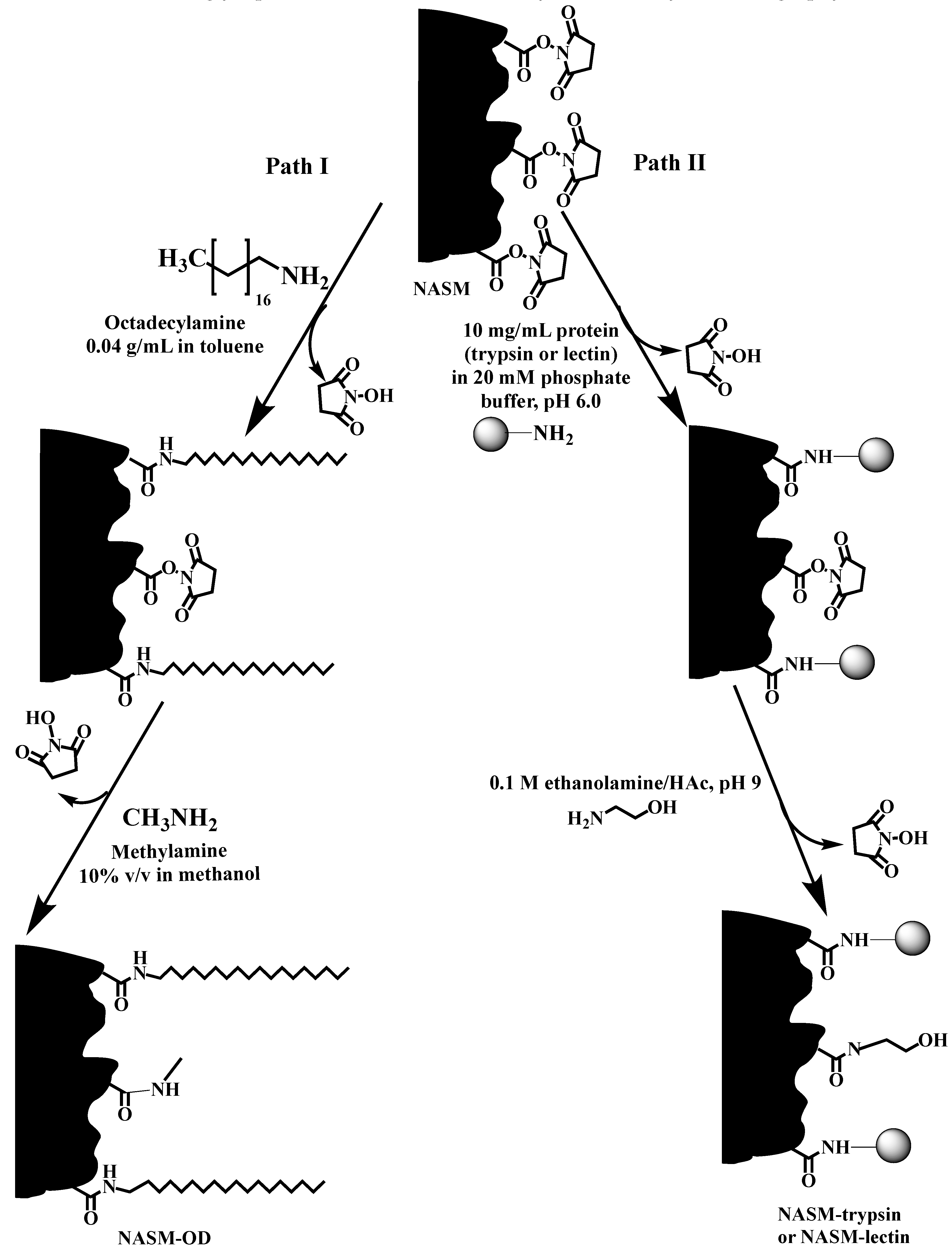 Molecules 25 01323 sch021