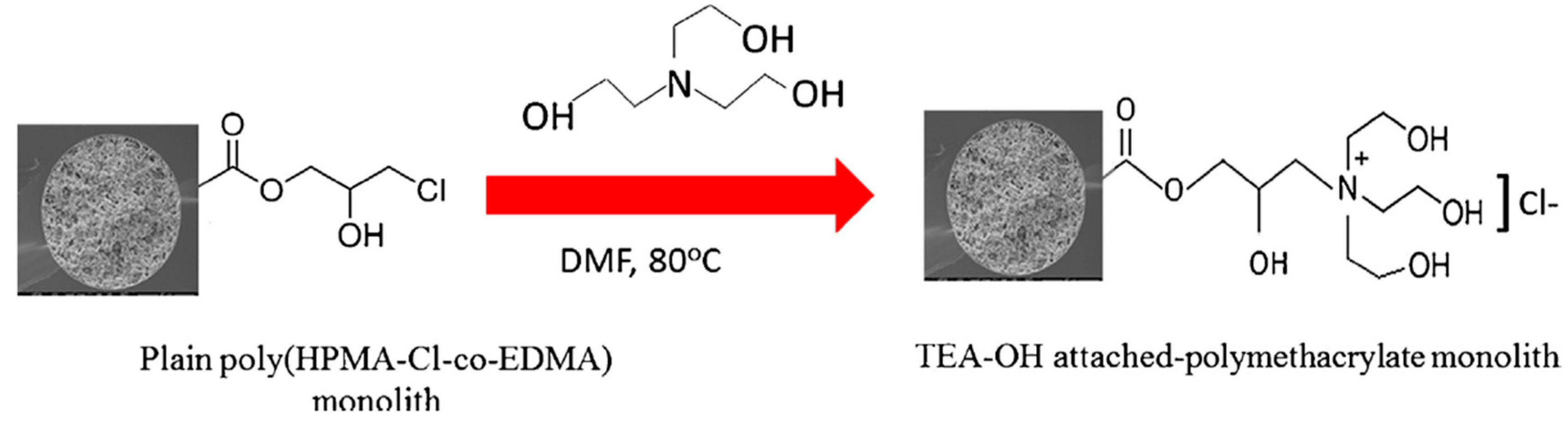 Molecules 25 01323 sch024