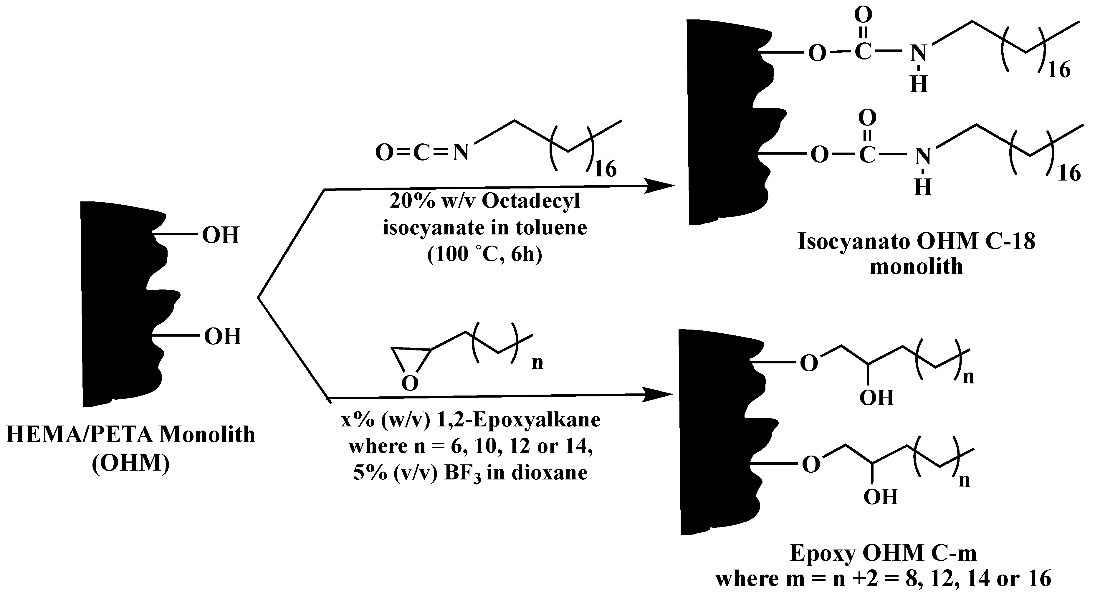 Molecules 25 01323 sch025