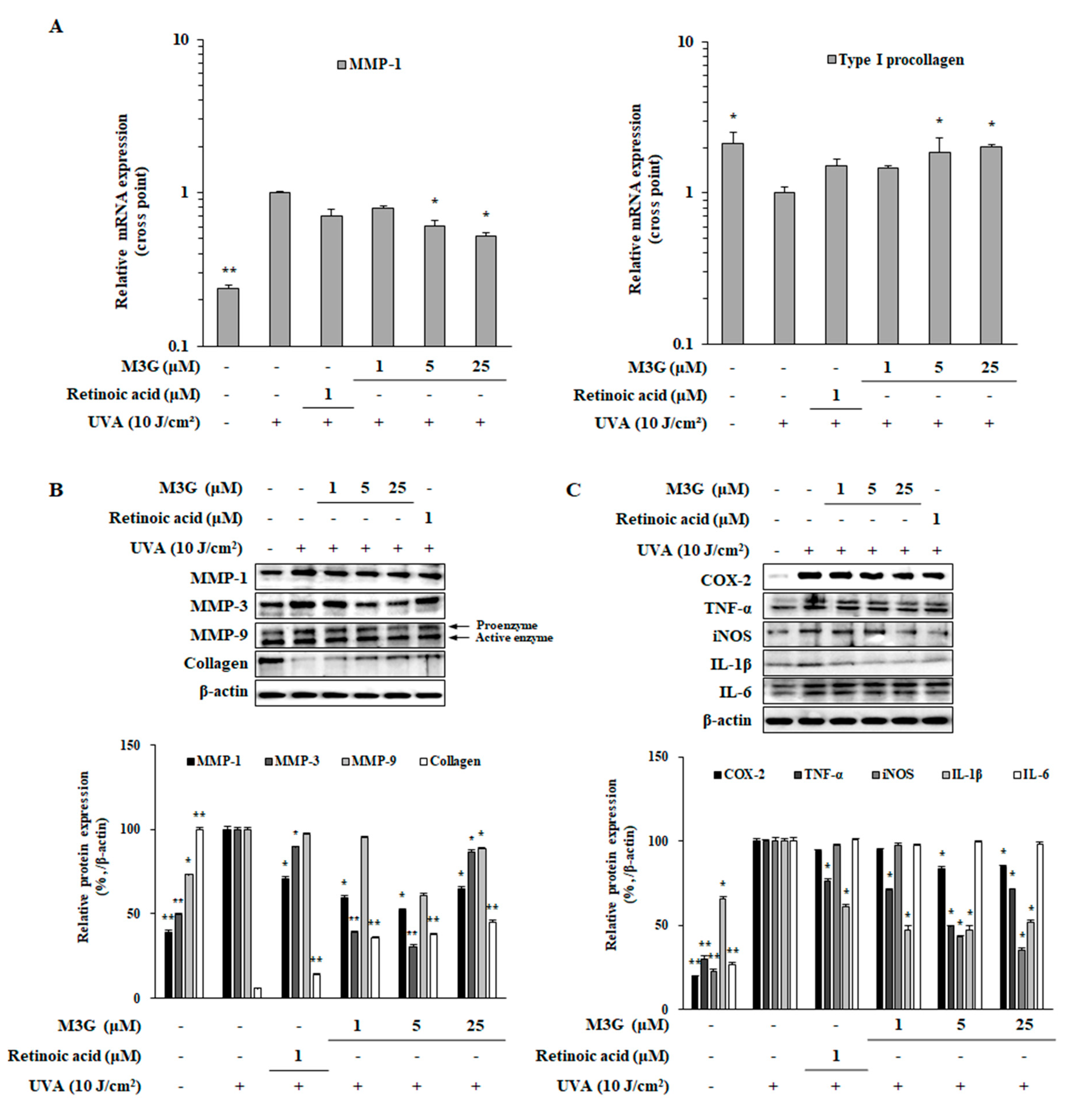 Molecules 25 01331 g007