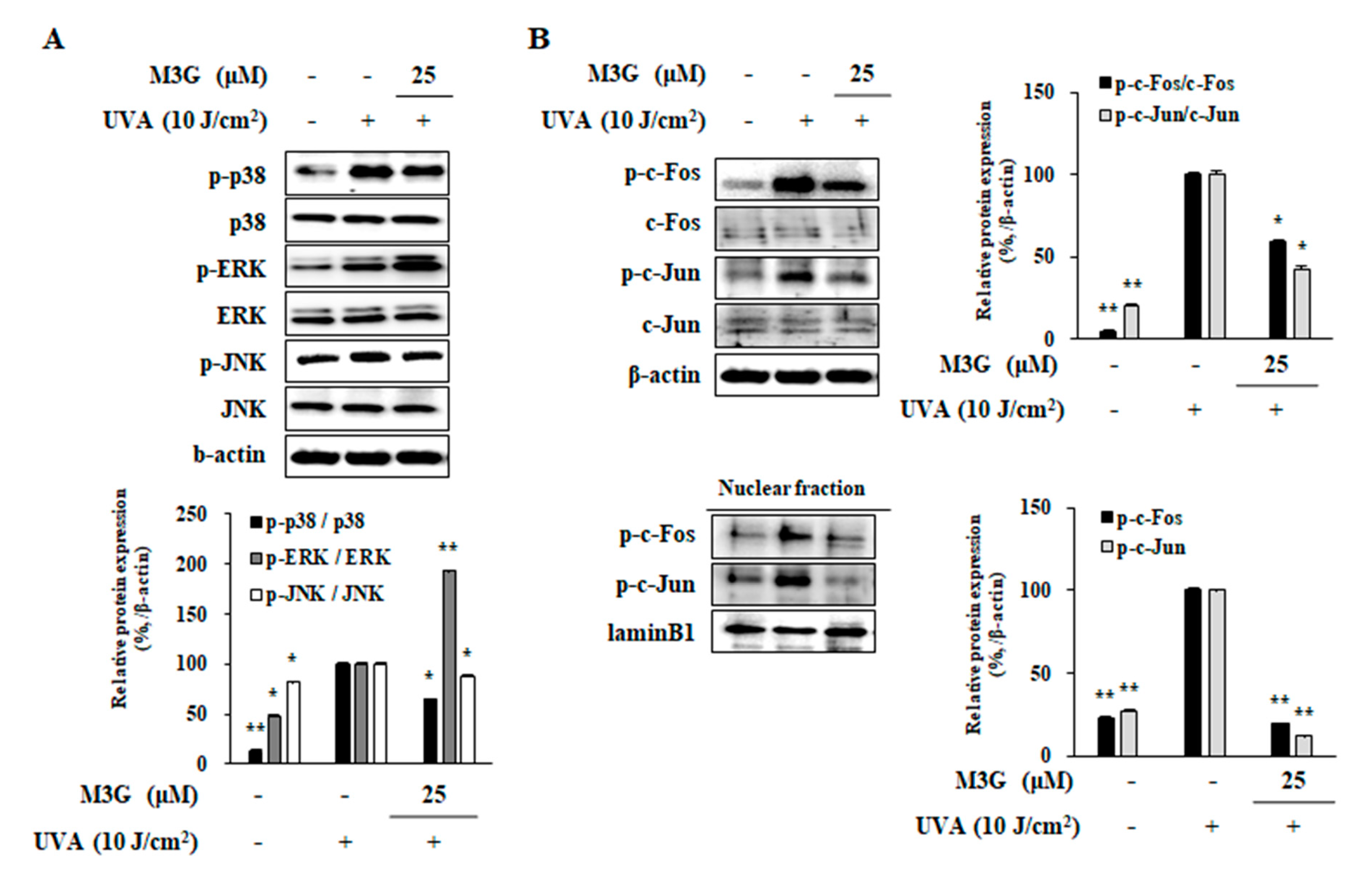 Molecules 25 01331 g008