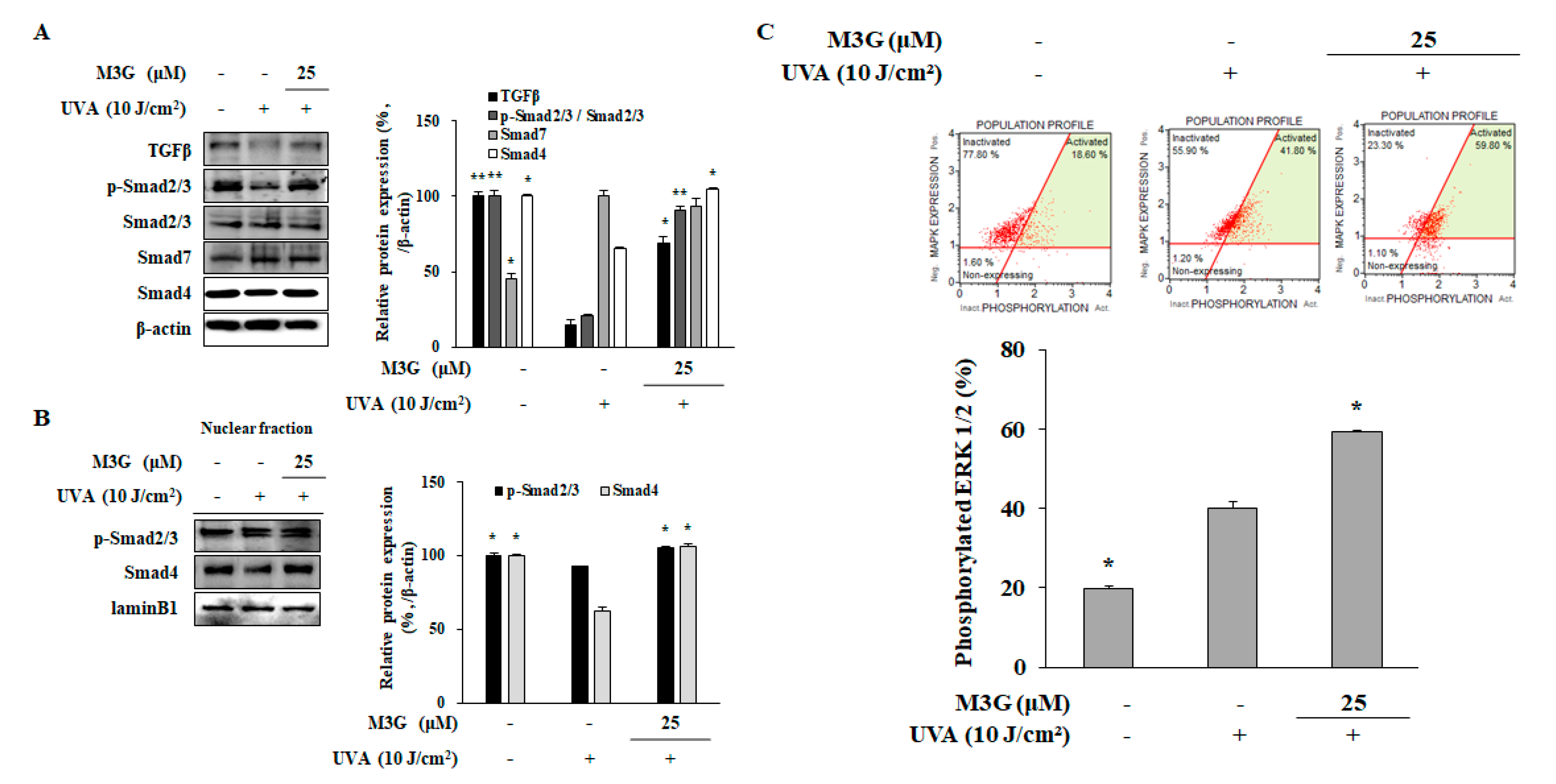 Molecules 25 01331 g009