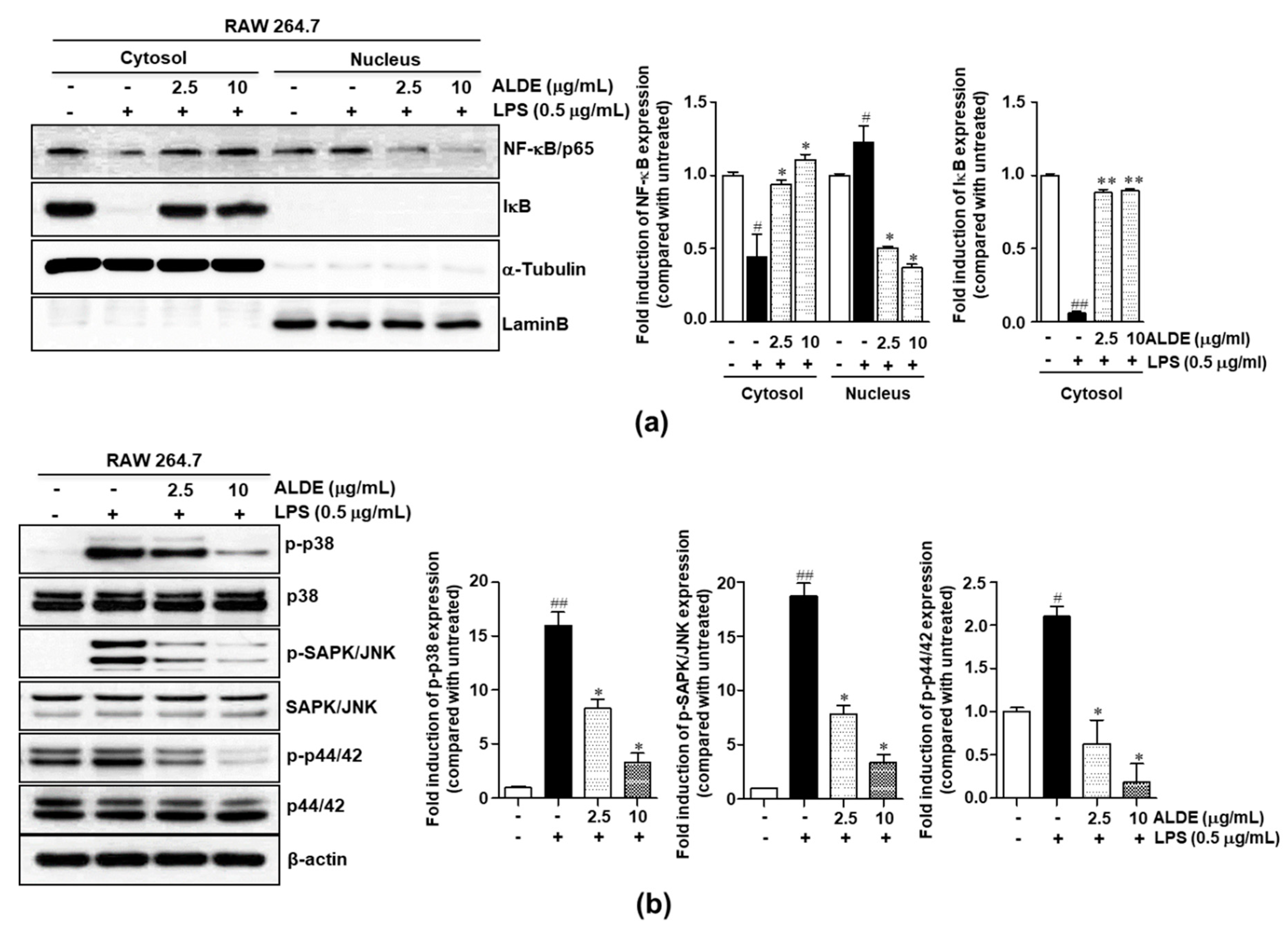 Molecules 25 01336 g005 Molecules 25 01336 g005