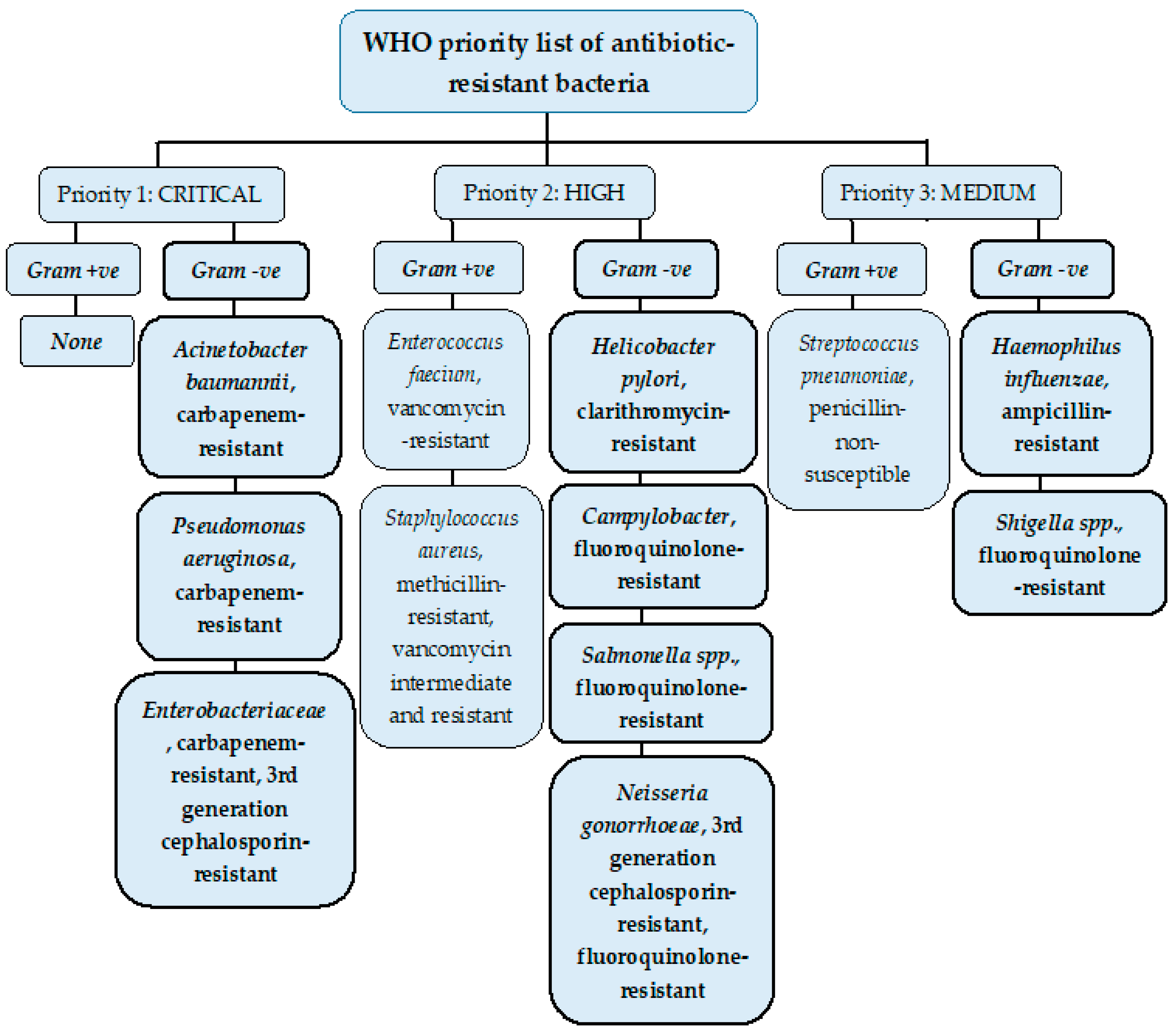 gram positive vs gram negative antibiotic