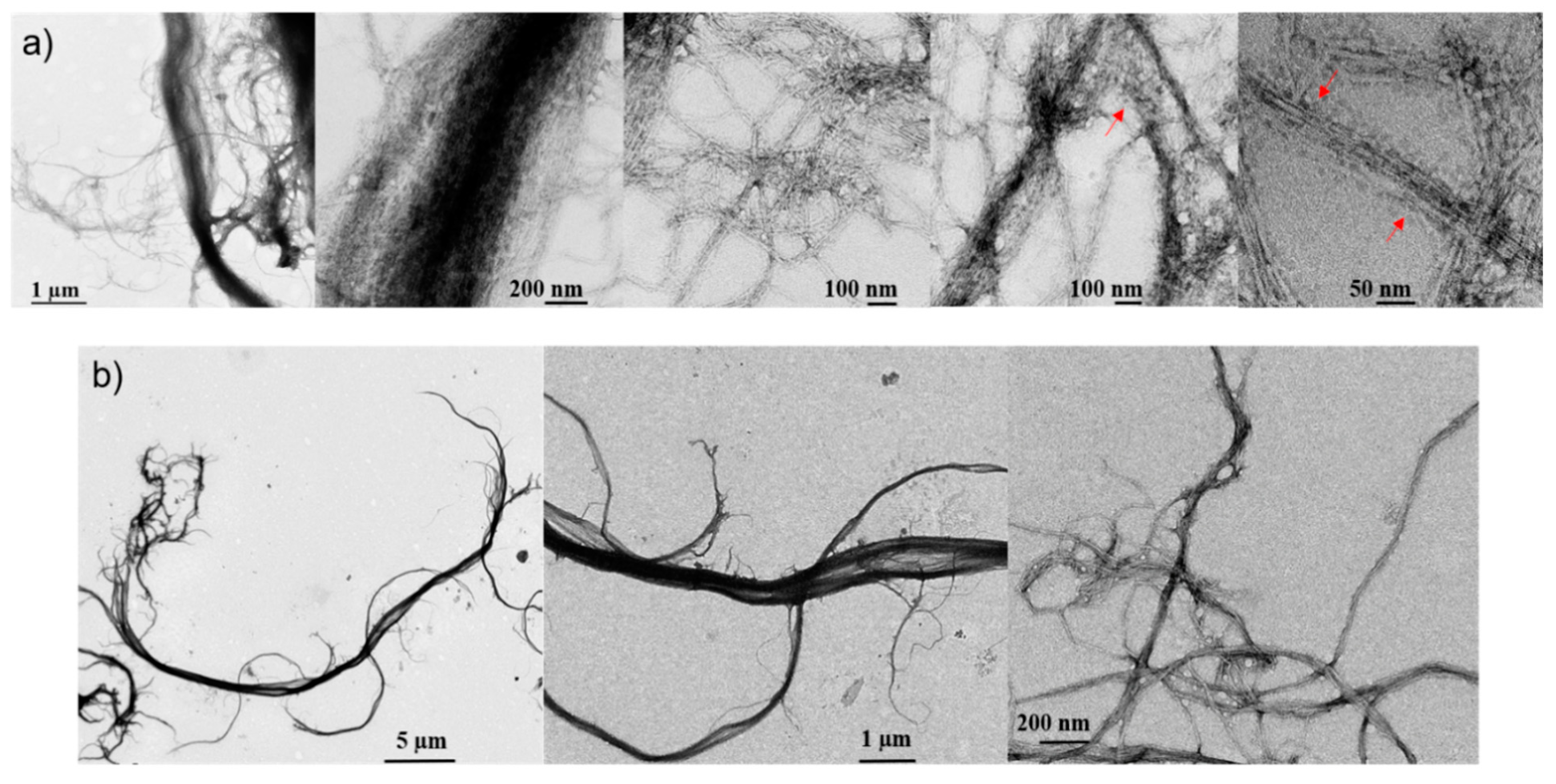 Molecules 25 01344 g001 Molecules 25 01344 g001