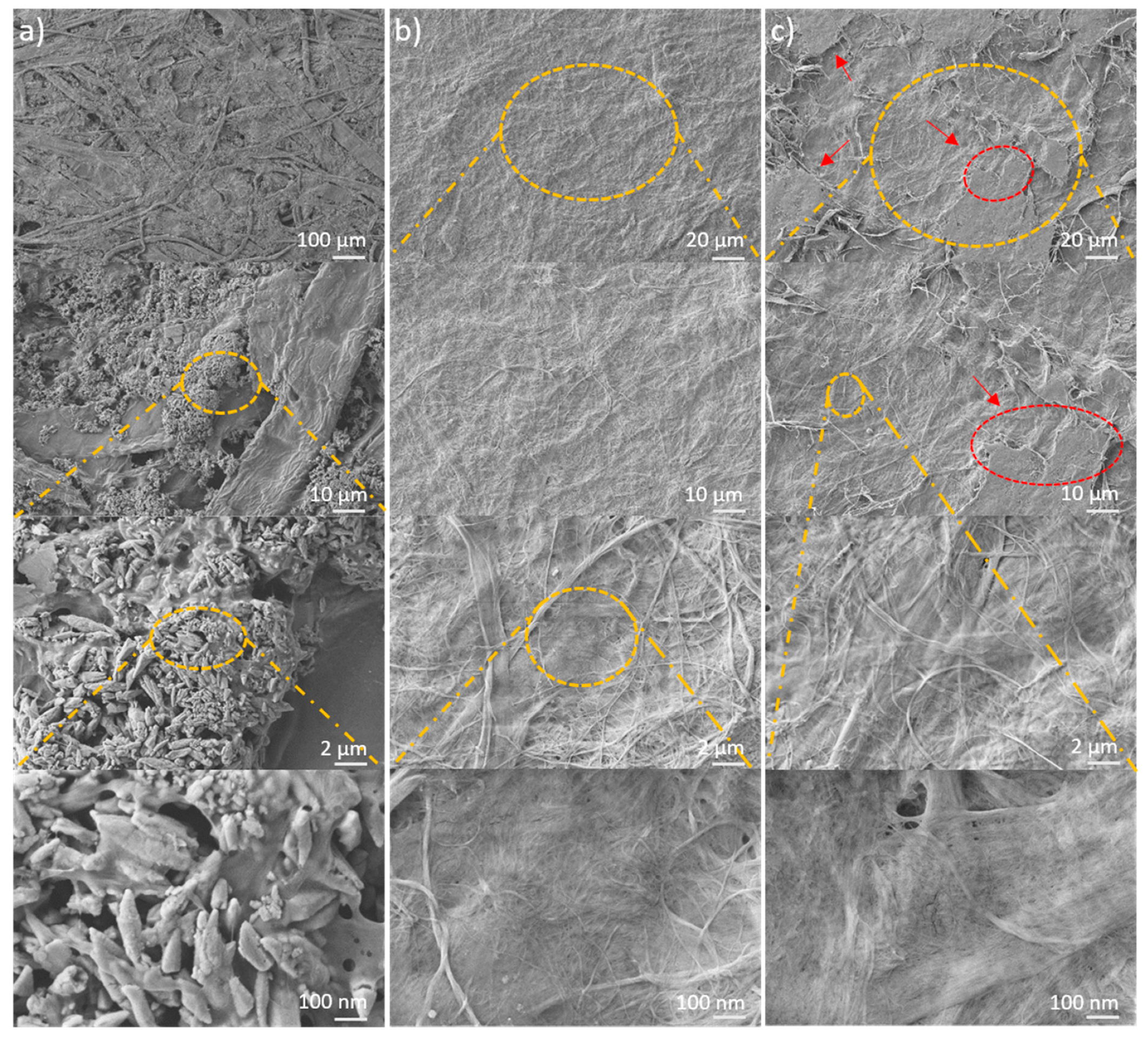 Molecules 25 01344 g005 Molecules 25 01344 g005