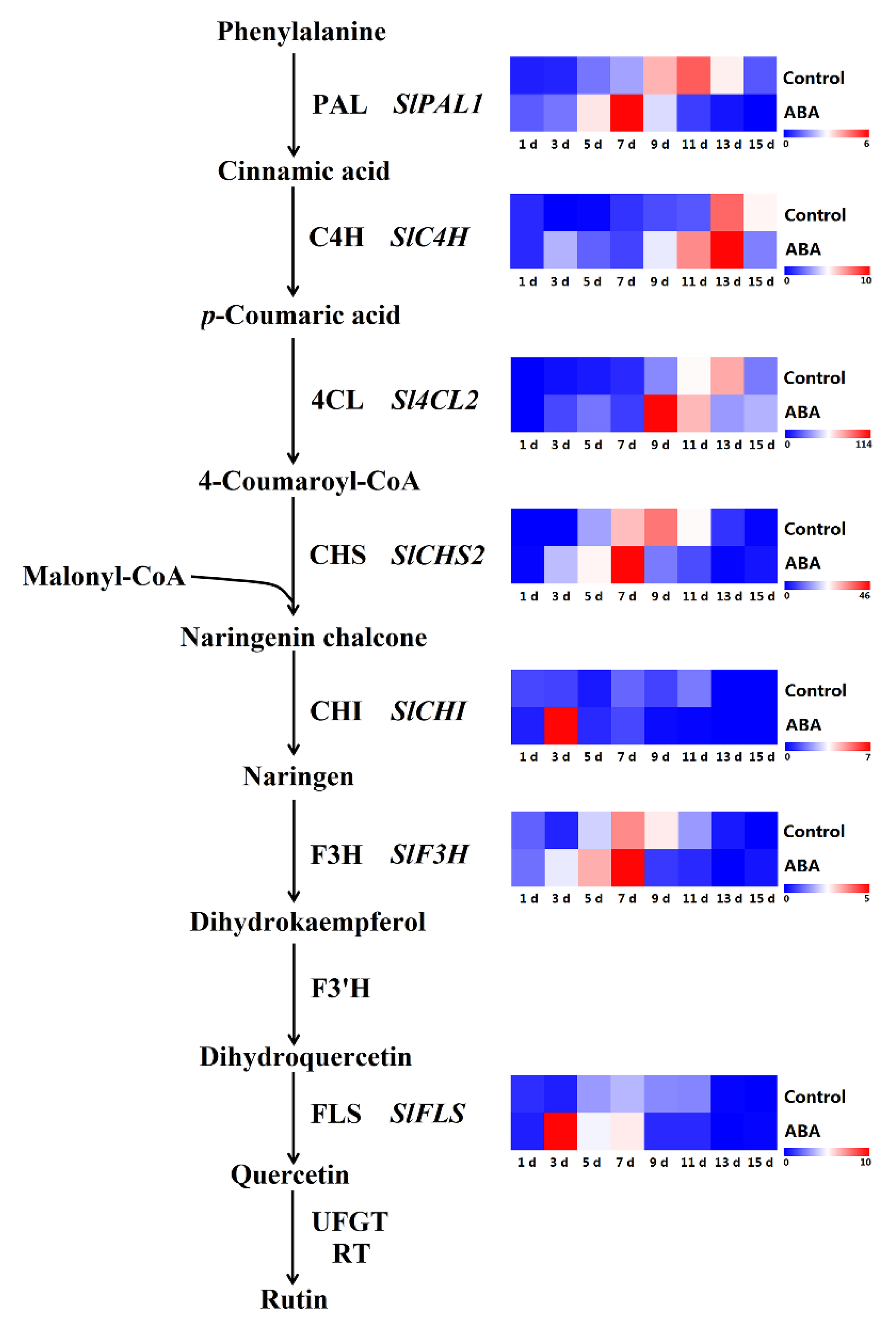 Molecules 25 01346 g010 Molecules 25 01346 g010