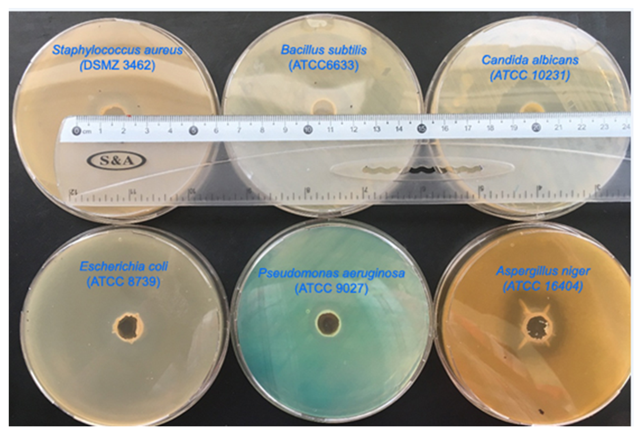 Molecules 25 01348 g001