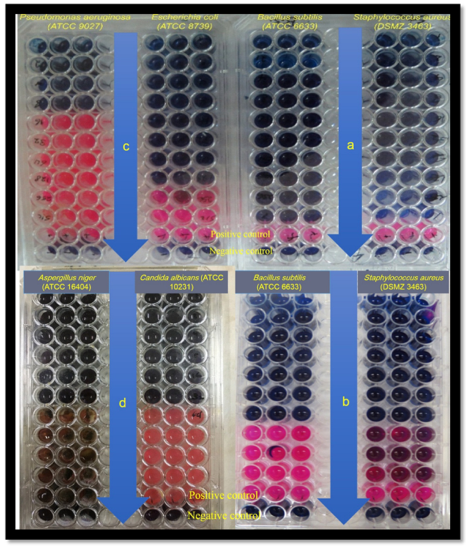 Molecules 25 01348 g002