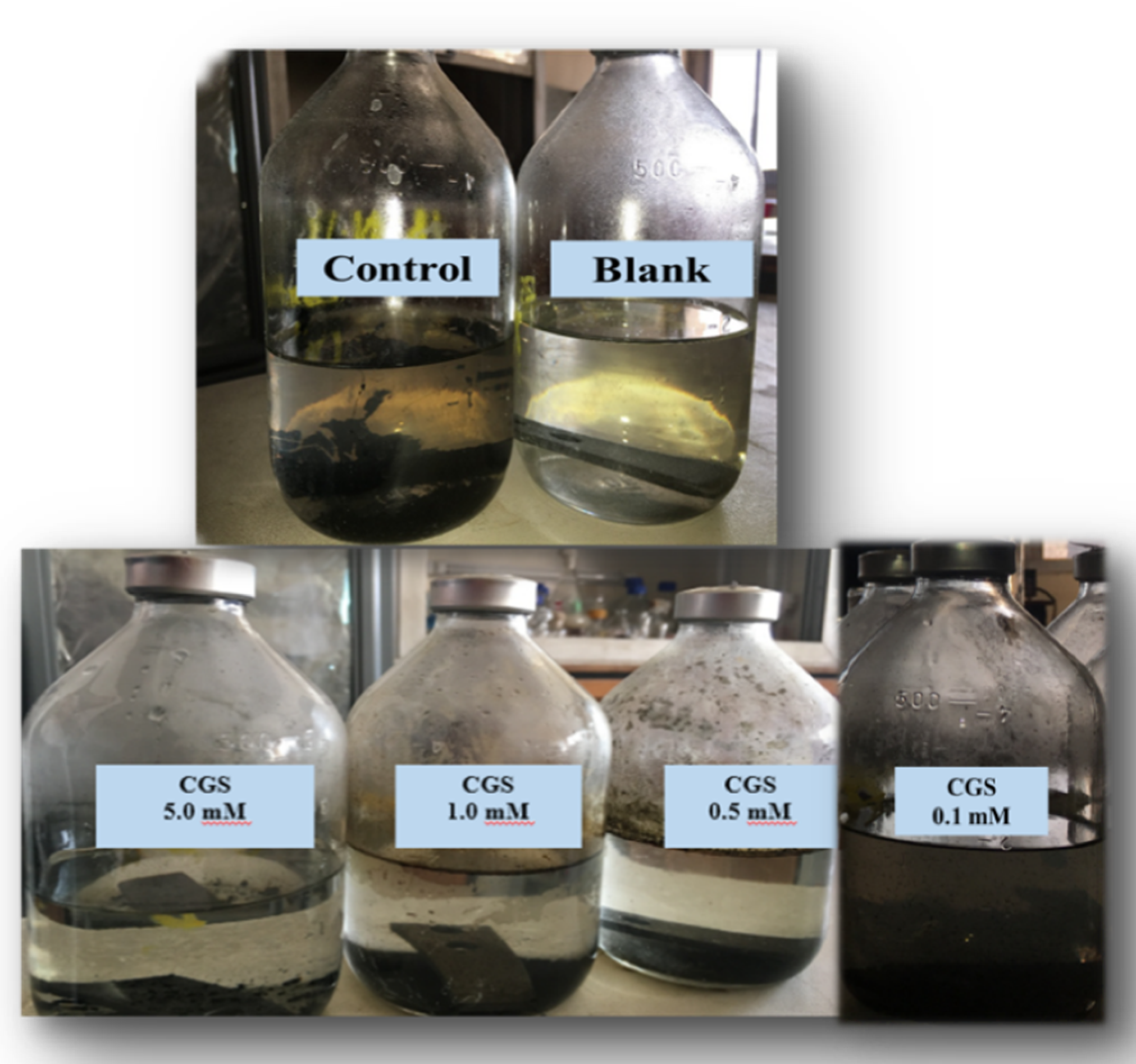 Molecules 25 01348 g004