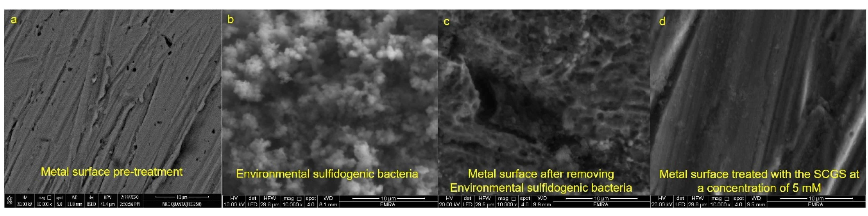 Molecules 25 01348 g005