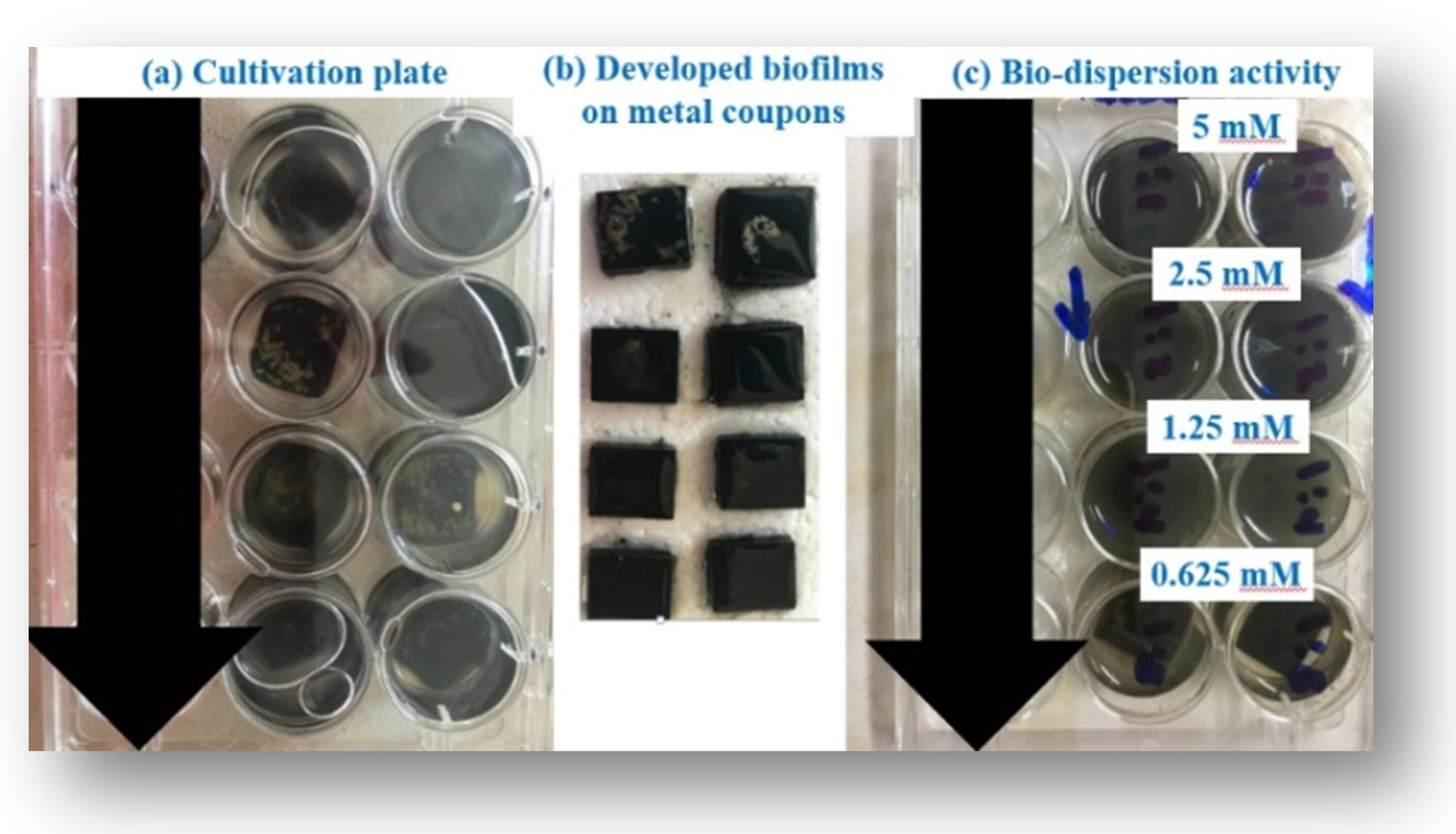 Molecules 25 01348 g006