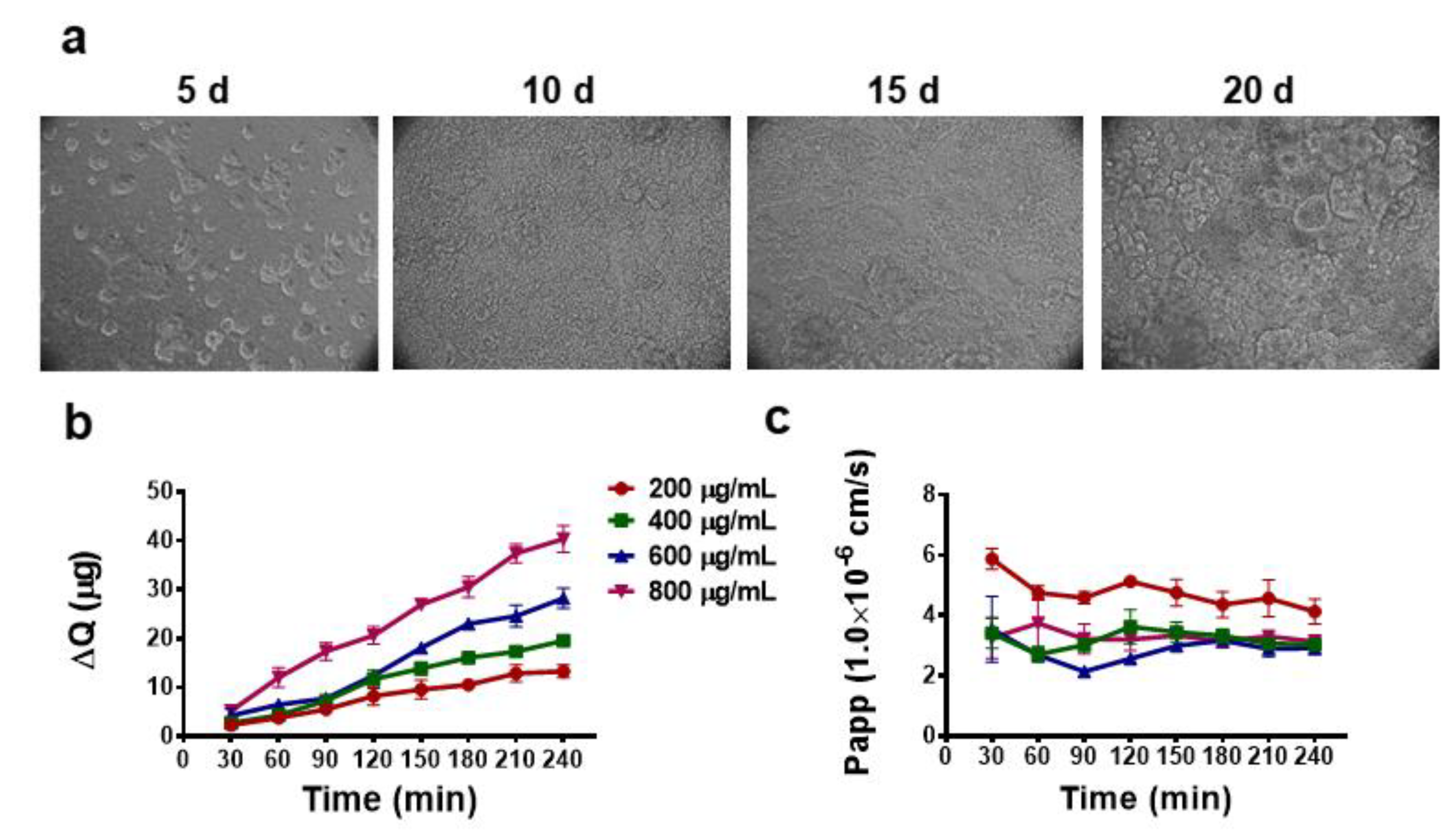 Molecules 25 01351 g005 Molecules 25 01351 g005