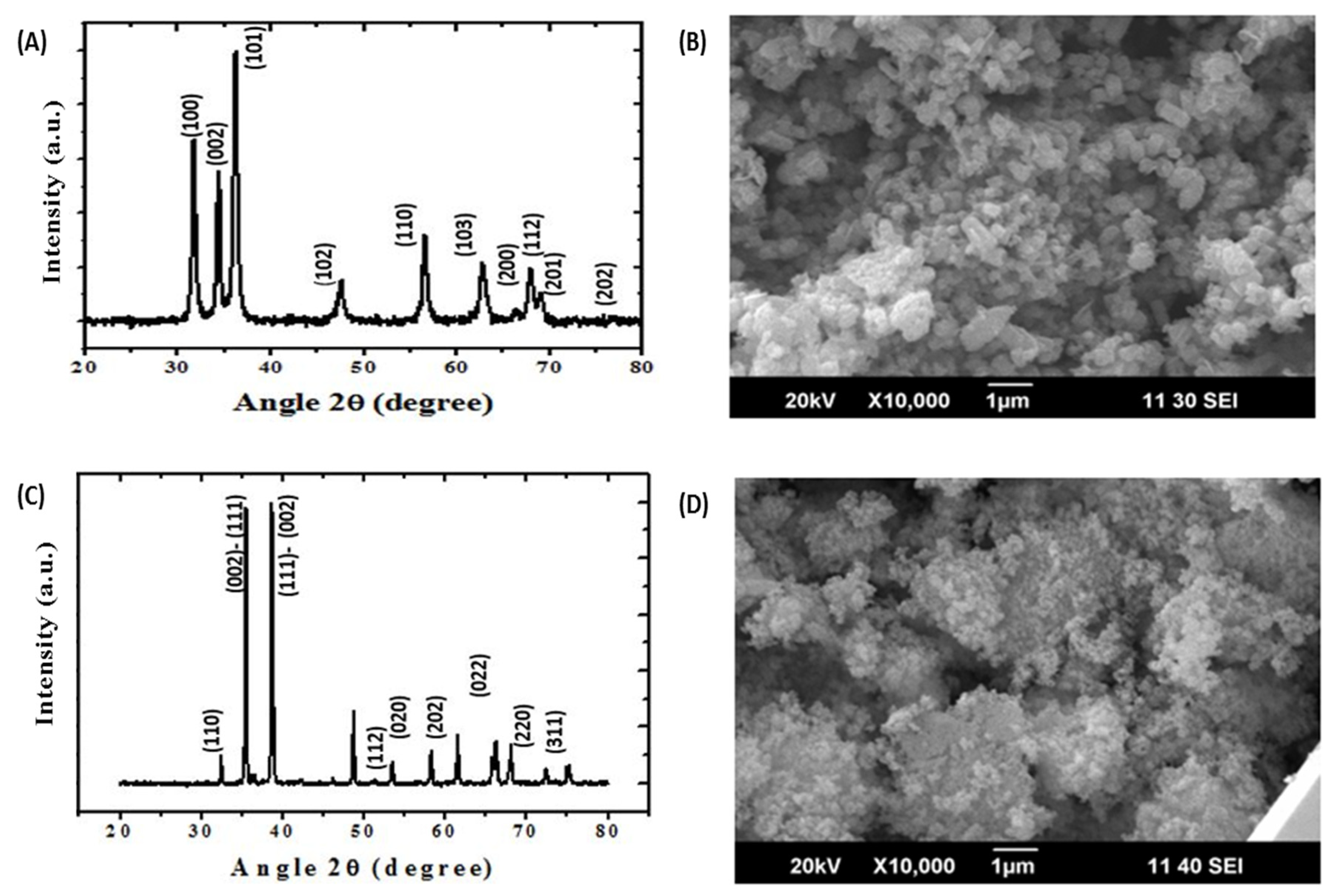 Molecules 25 01356 g001 Molecules 25 01356 g001