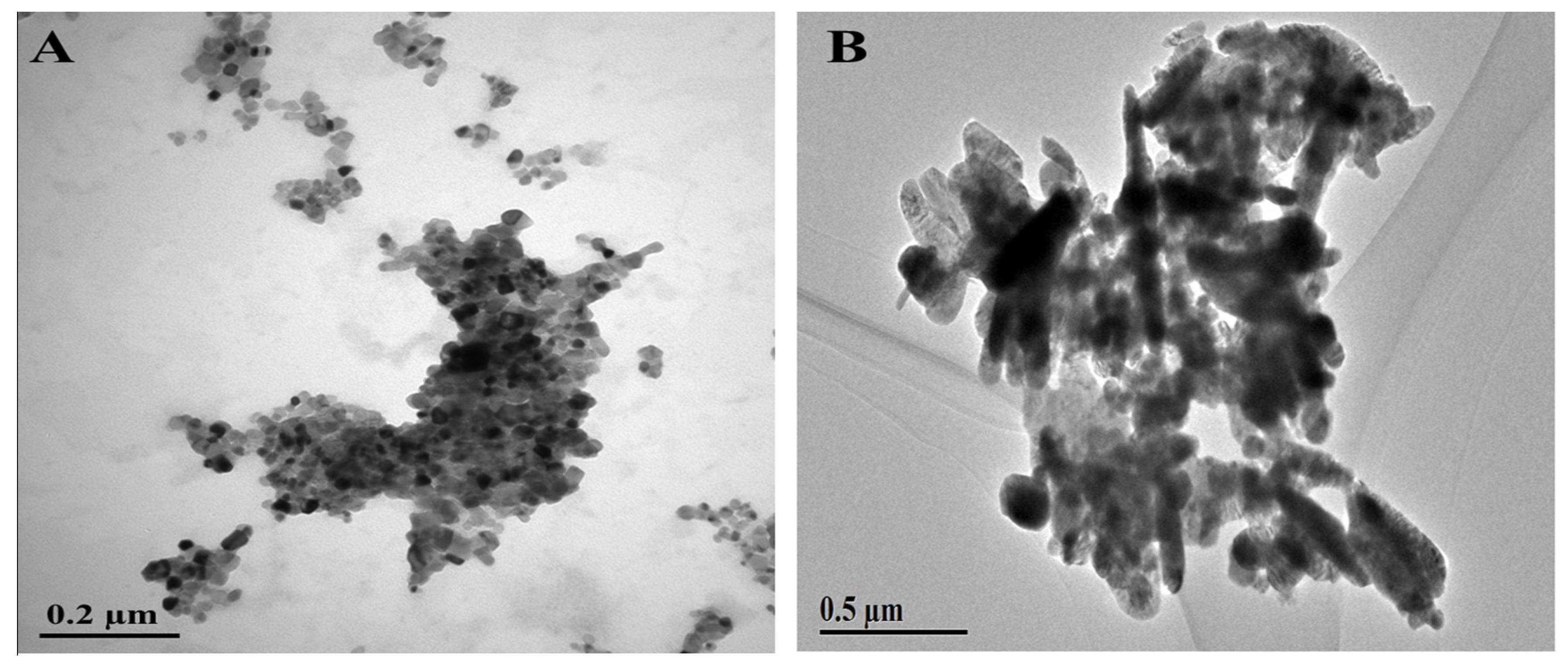 Molecules 25 01356 g002 Molecules 25 01356 g002