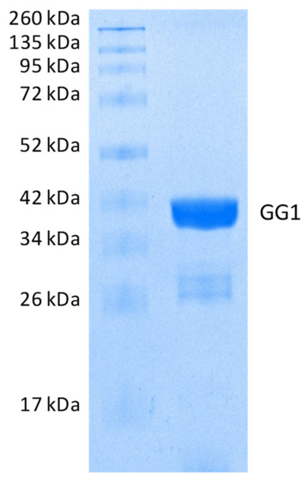 Molecules 25 01371 g005