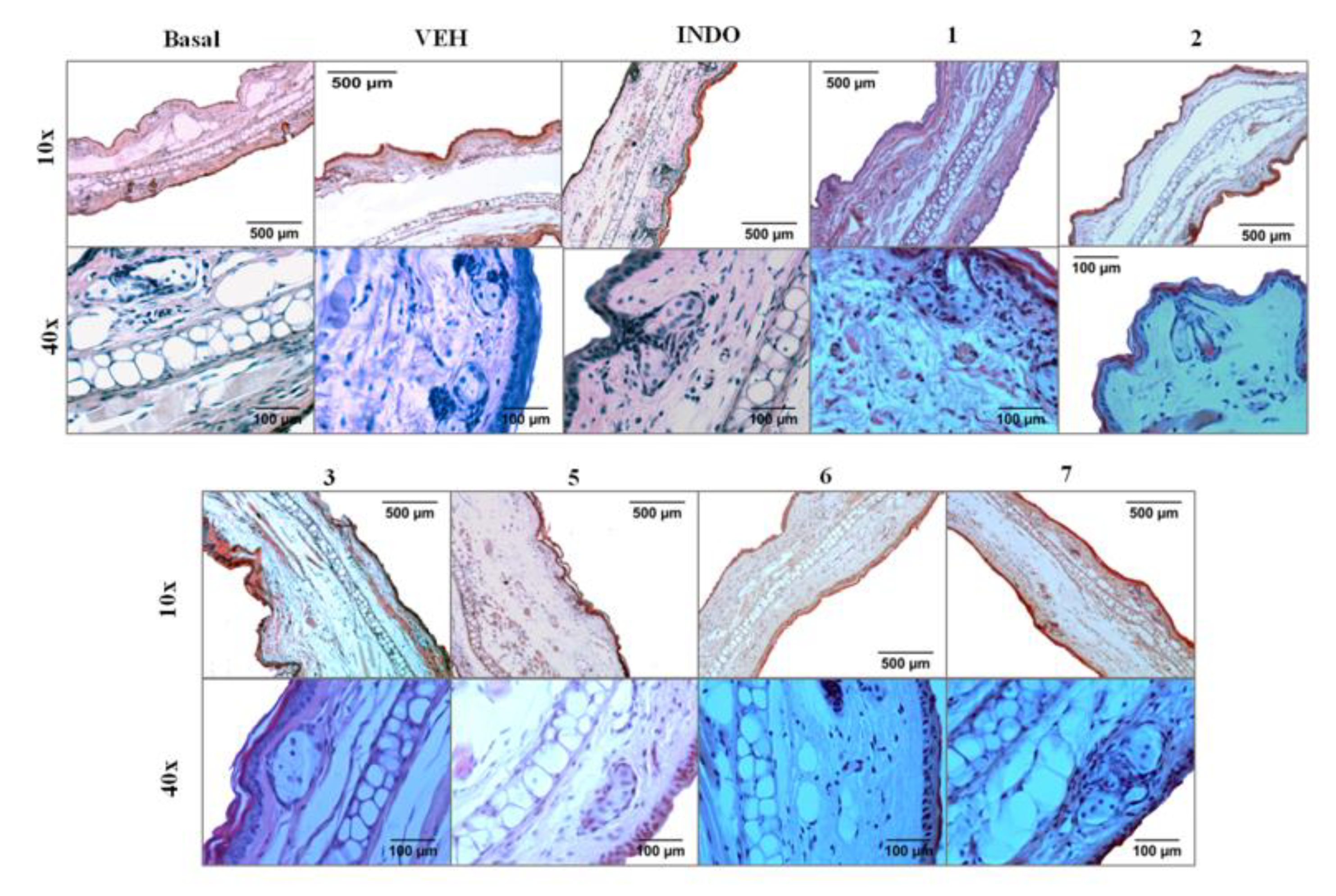 Molecules 25 01379 g005