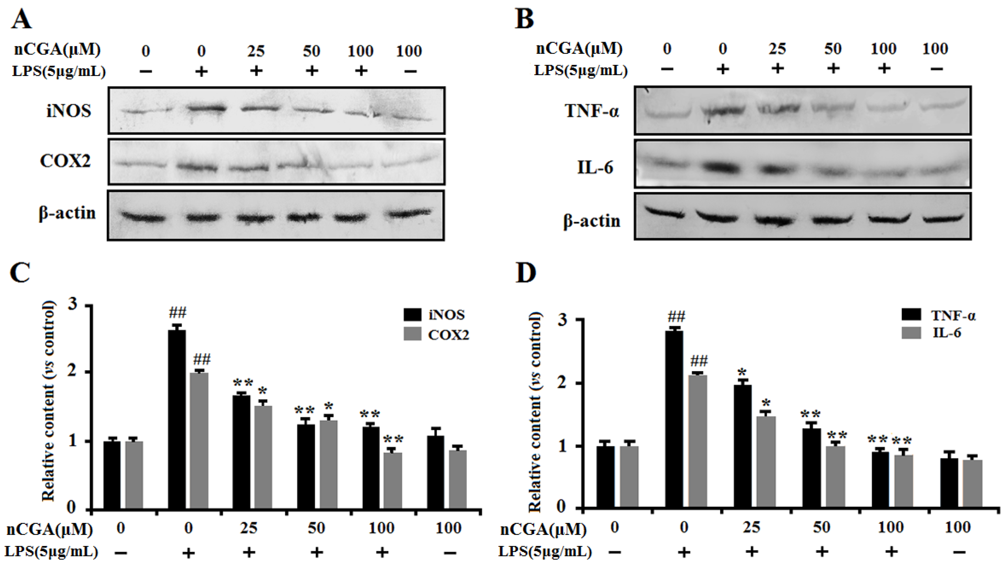 Molecules 25 01385 g003