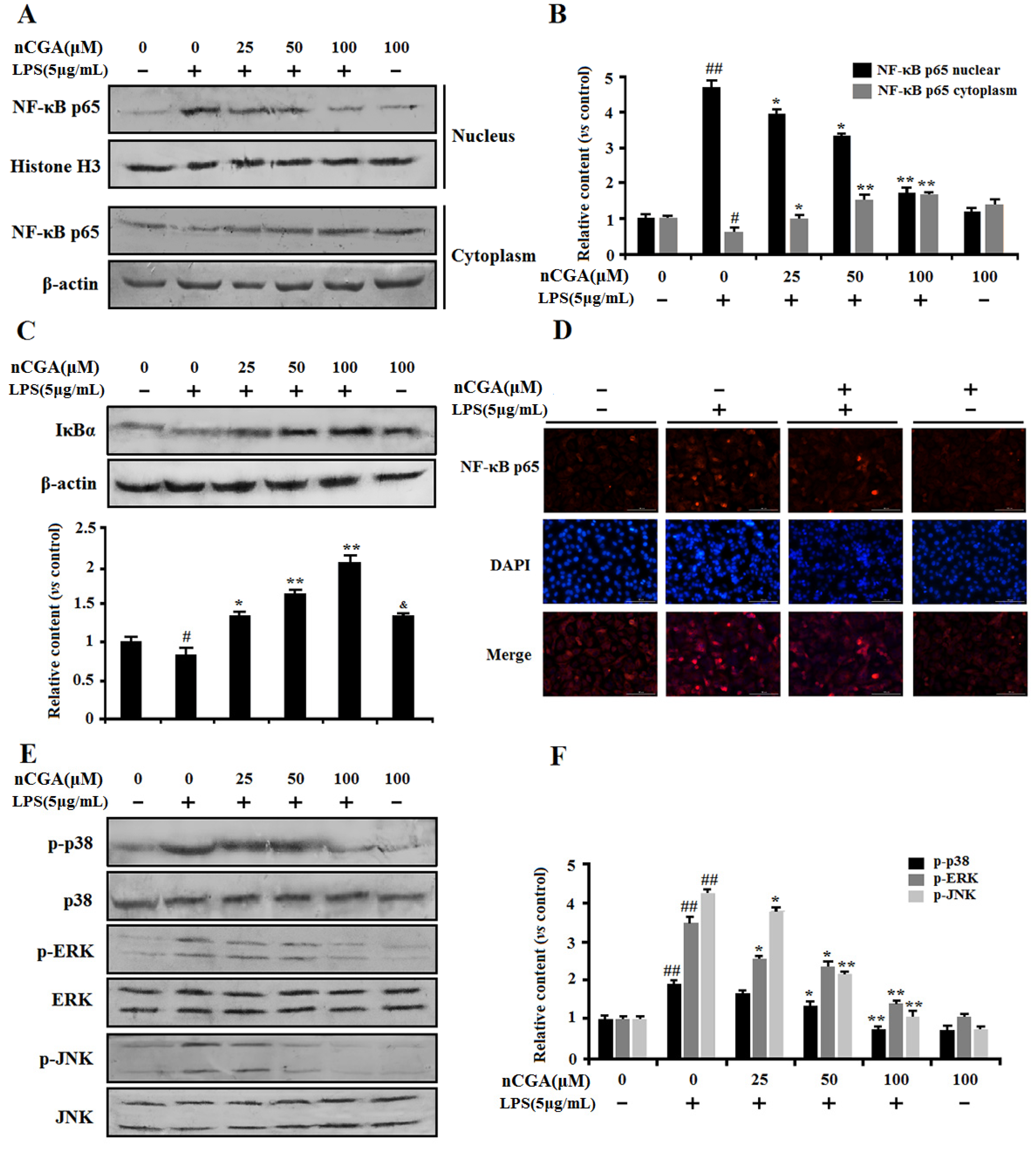 Molecules 25 01385 g004