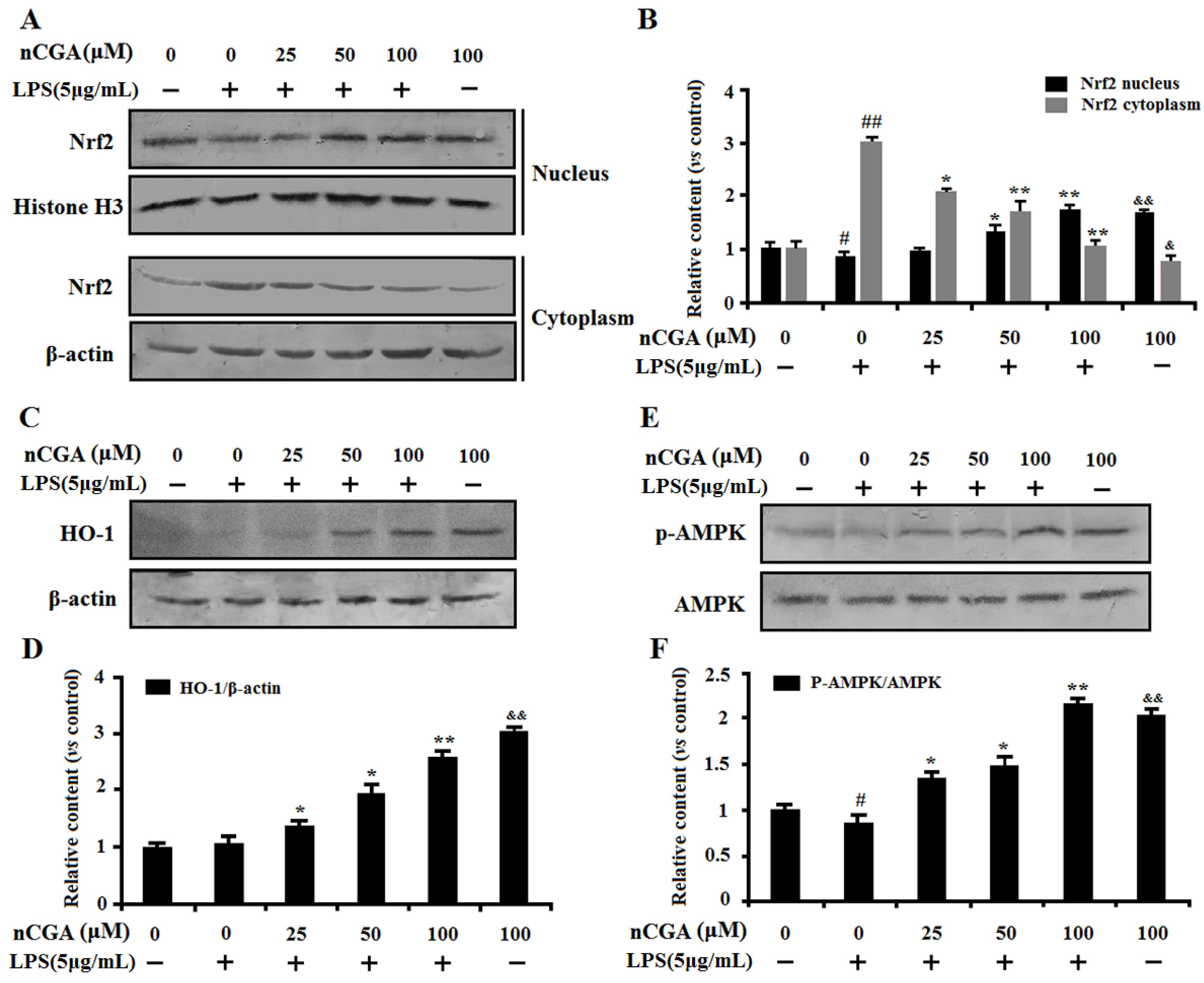 Molecules 25 01385 g005
