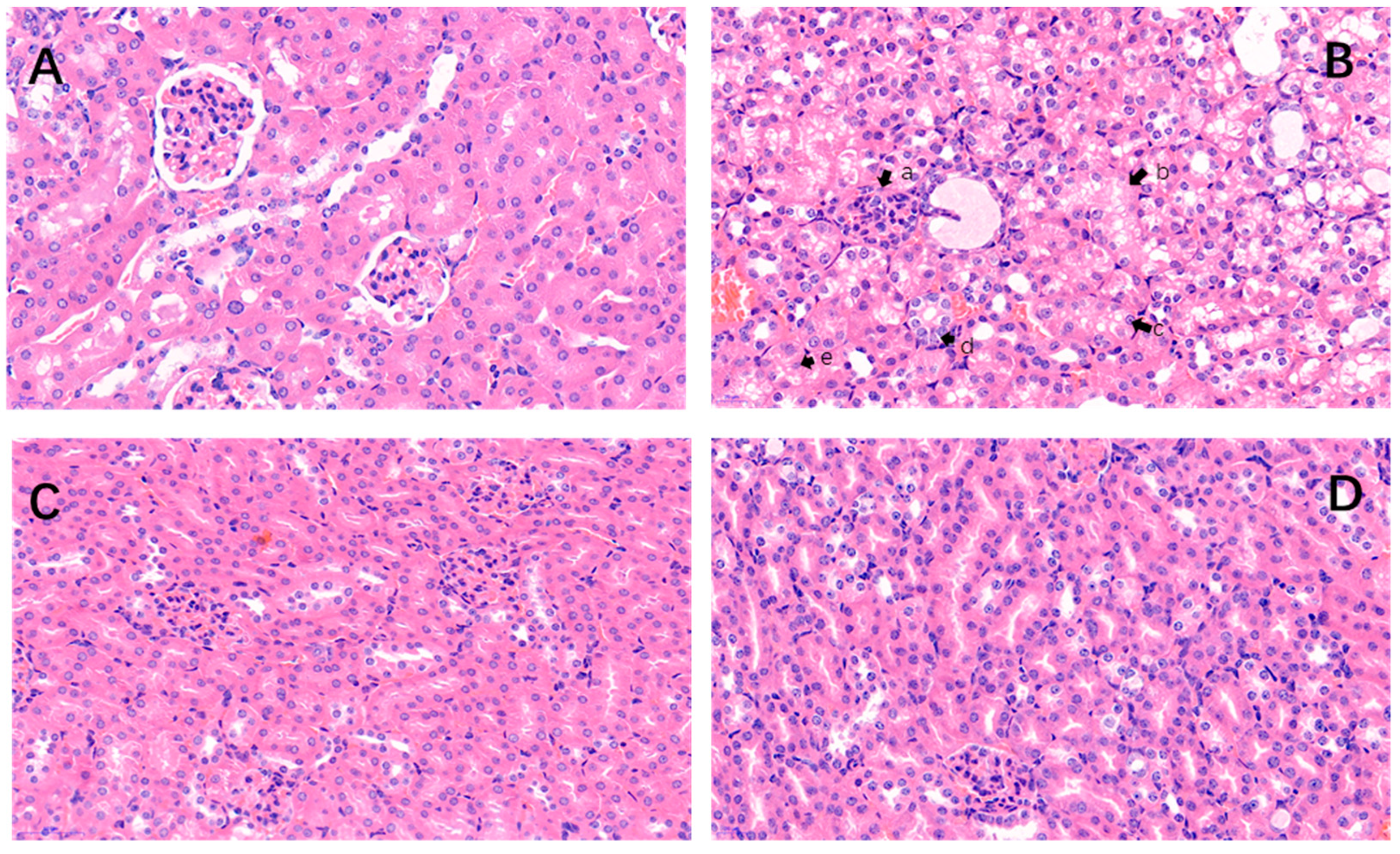 Molecules 25 01386 g002 Molecules 25 01386 g002