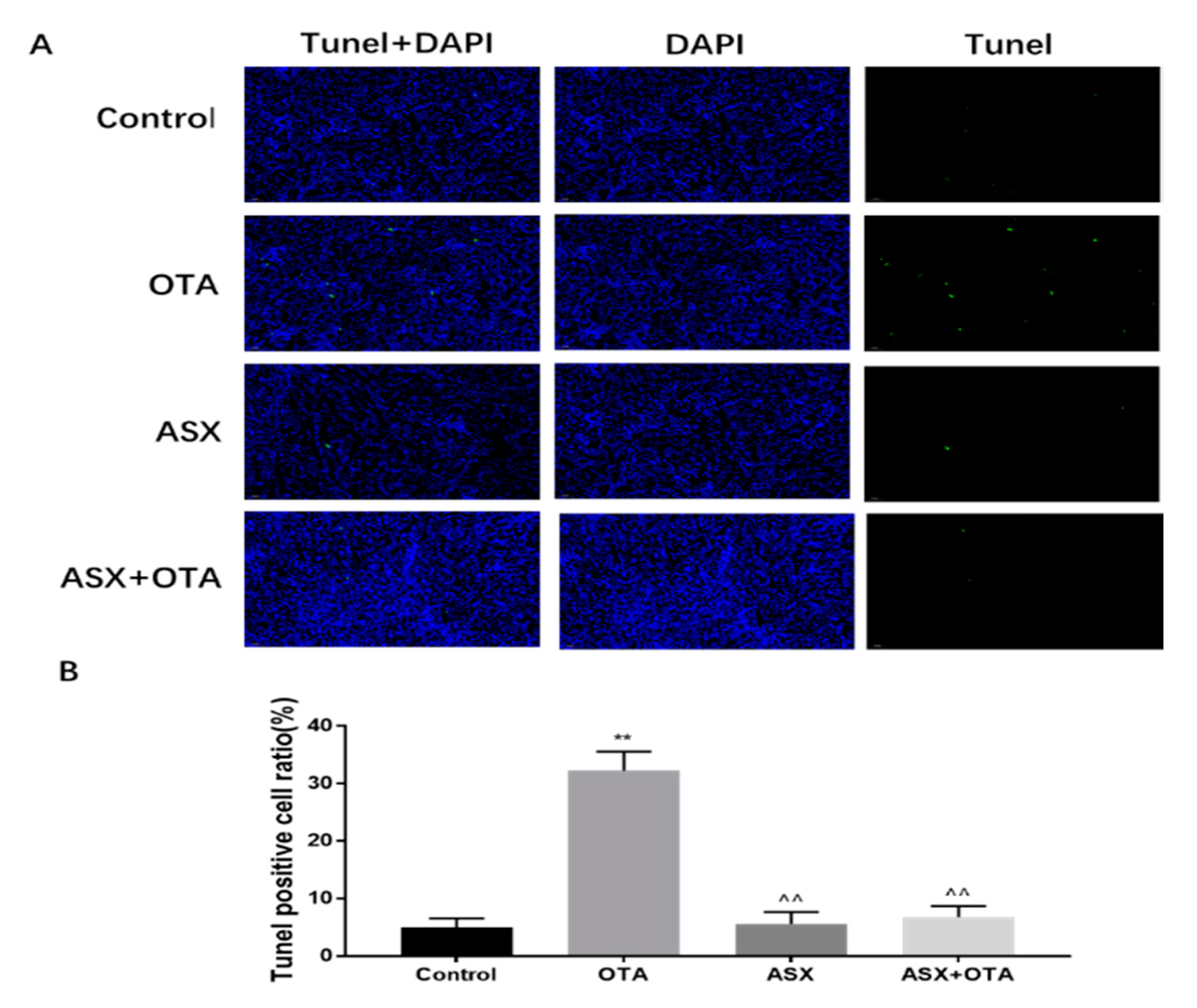 Molecules 25 01386 g004 Molecules 25 01386 g004