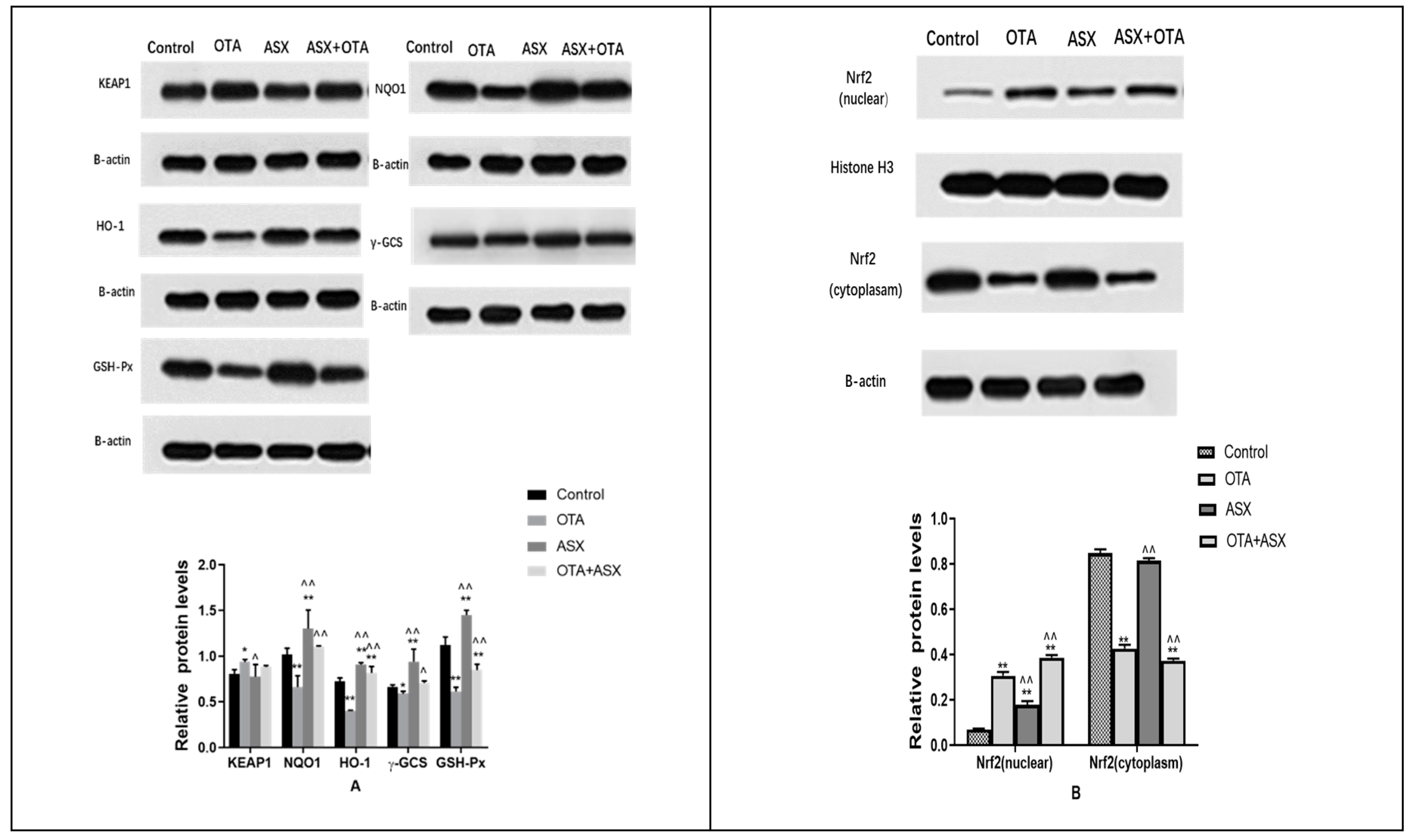 Molecules 25 01386 g007 Molecules 25 01386 g007