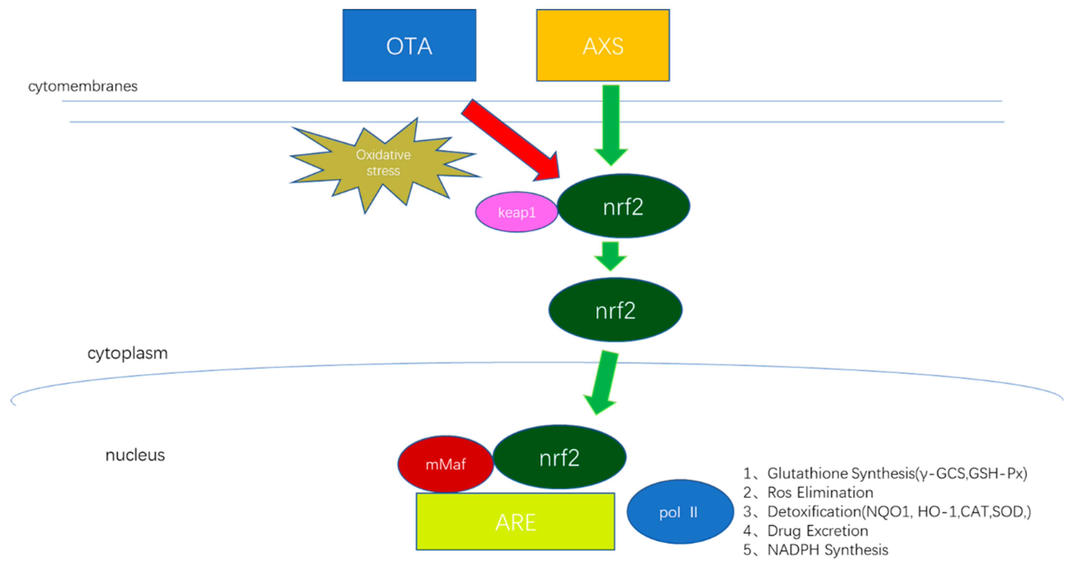 Molecules 25 01386 g008 Molecules 25 01386 g008