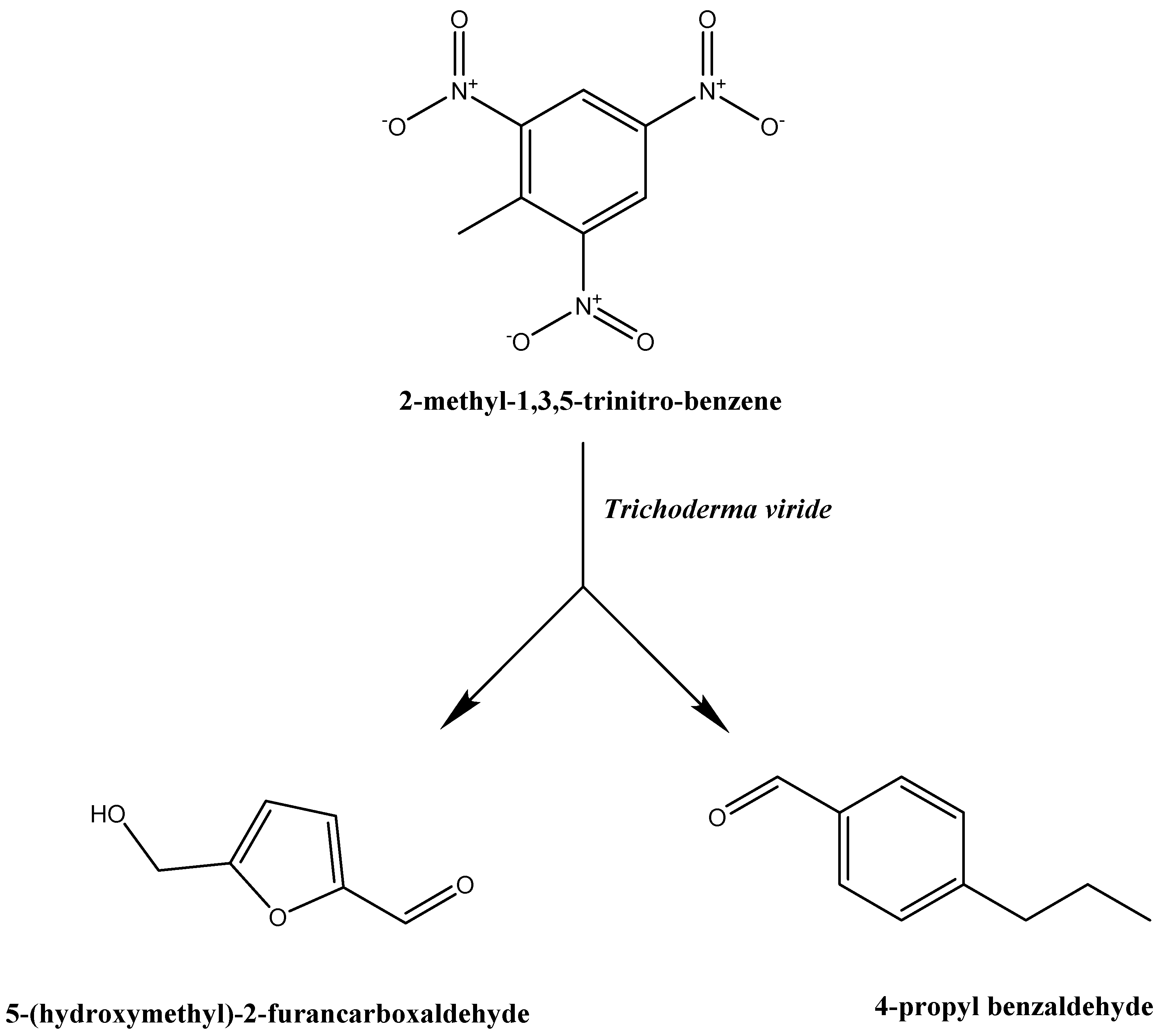 Molecules 25 01393 sch001 Molecules 25 01393 sch001
