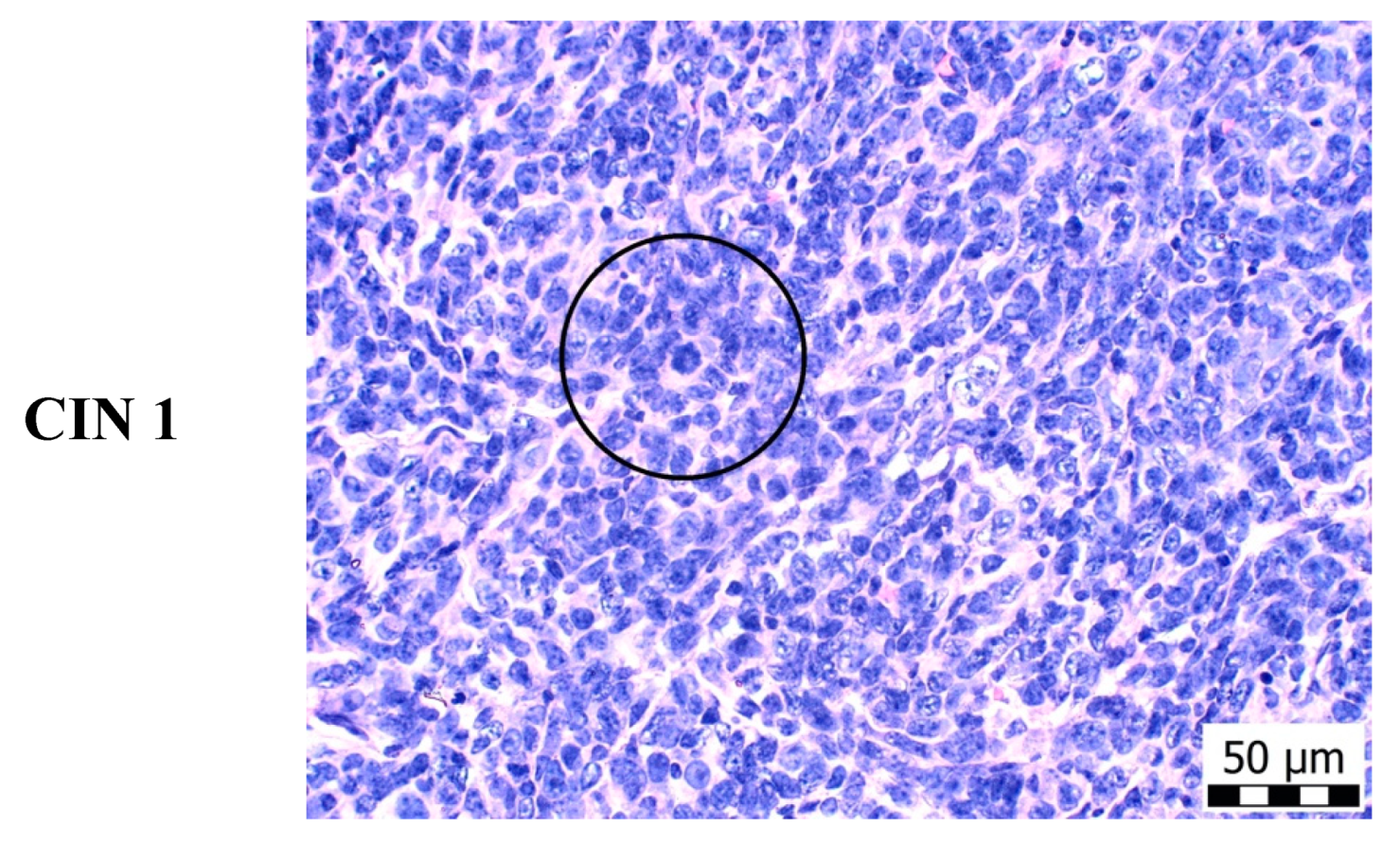 Molecules 25 01399 g003b