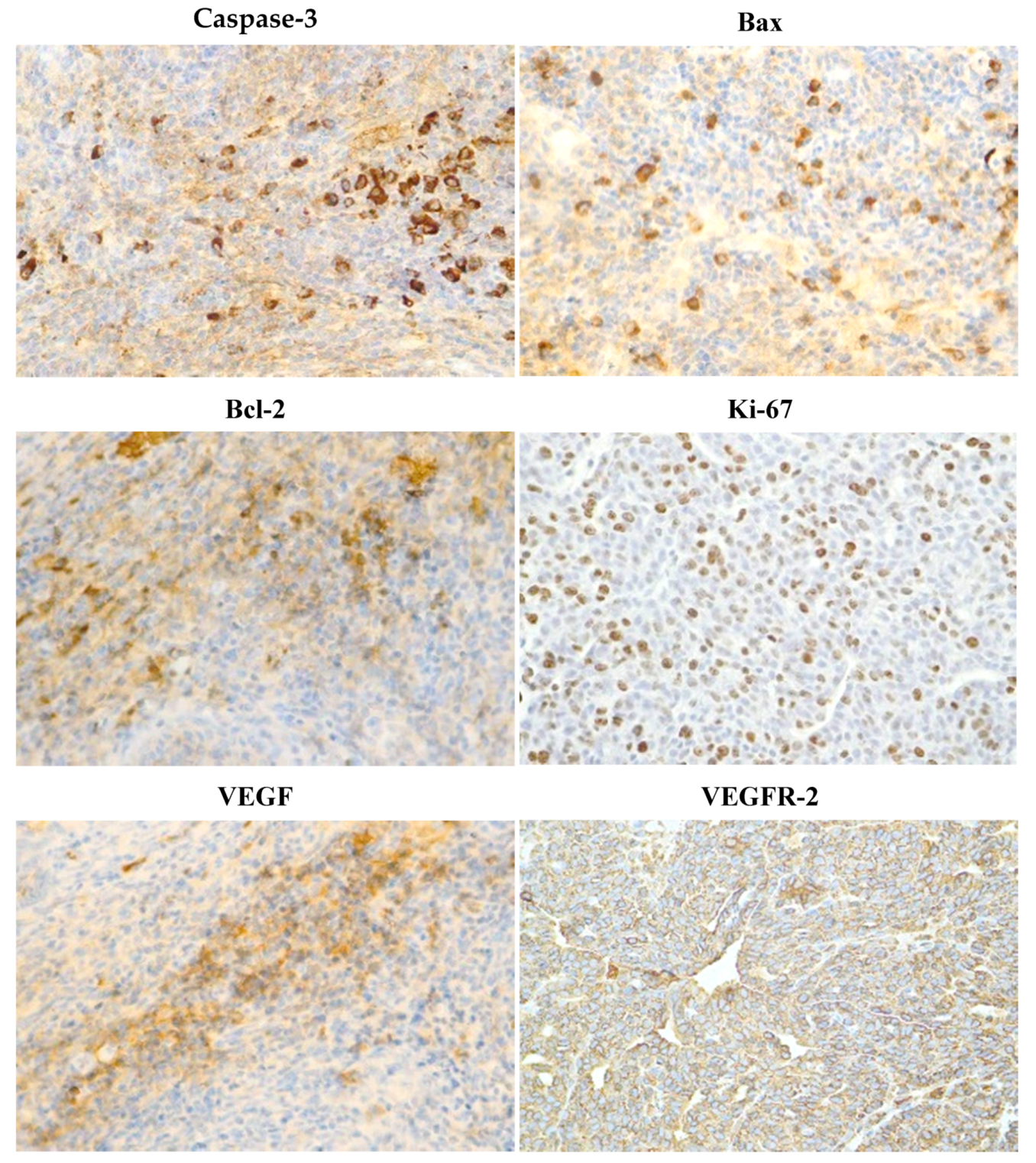 Molecules 25 01399 g006a